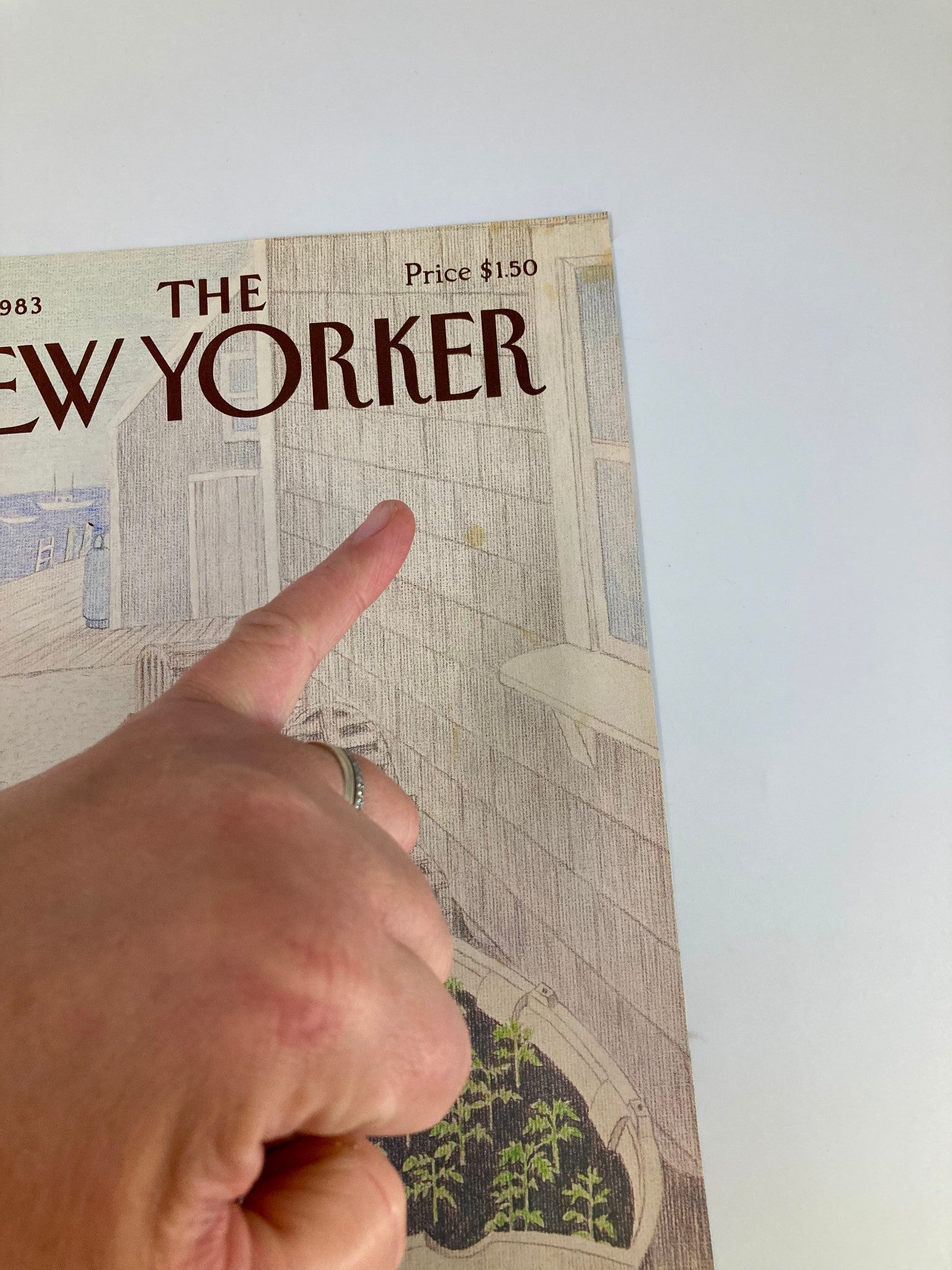 COVER ONLY The New Yorker July 11 1983 Jessica's Plant by Charles E. Martin