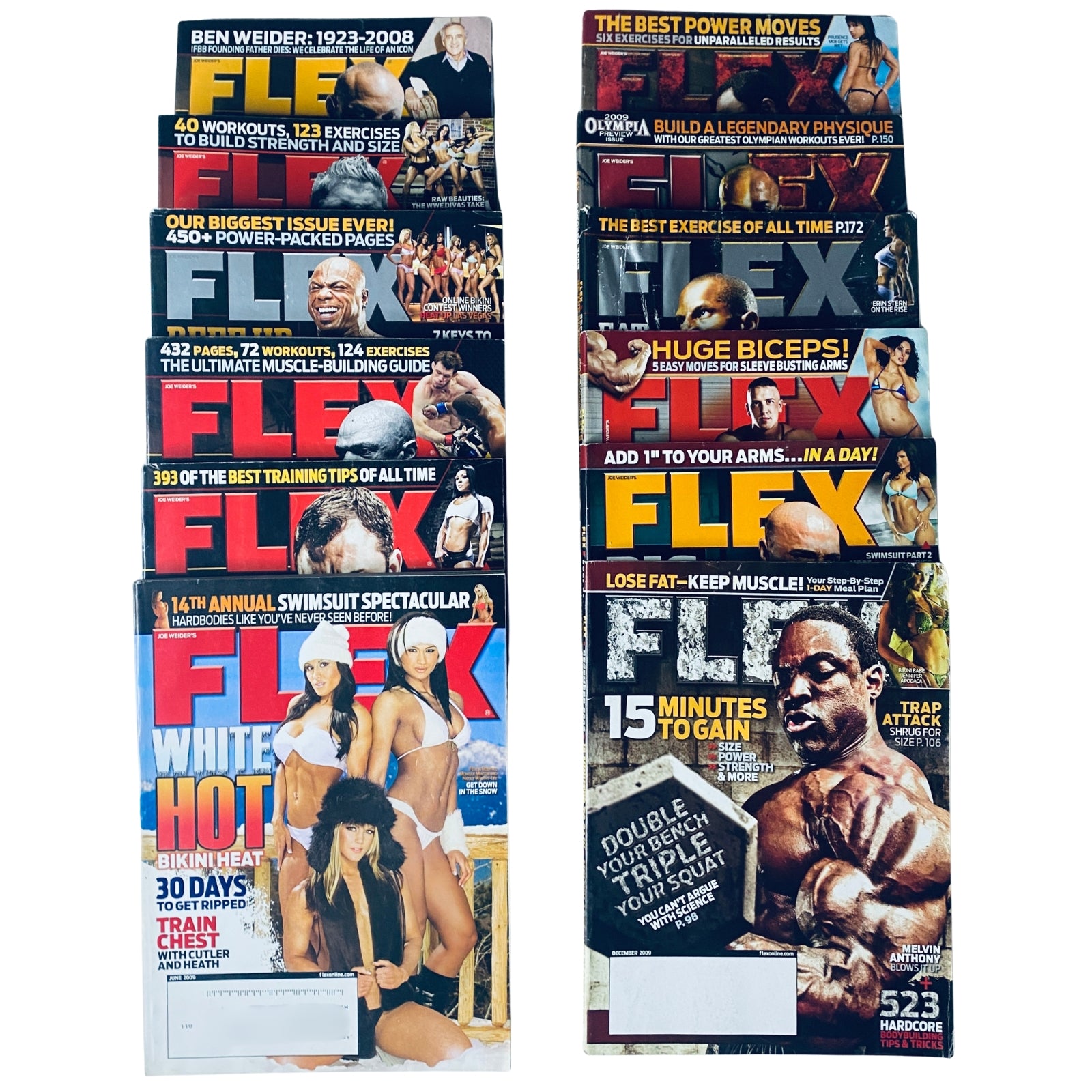 Lot of 12 Flex Magazine 2009 covers showcasing bodybuilding insights from January to December, featuring fitness routines, nutritional tips, and highlights of famous athletes.