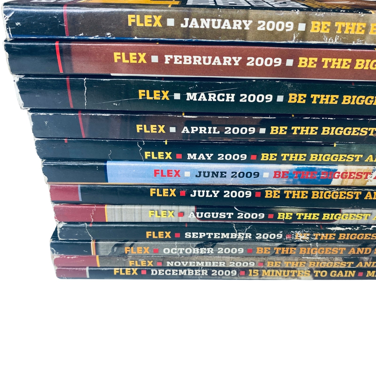 Lot of 12 Flex Magazine 2009 Full Year January to December, featuring stacked magazine spines with titles of each month's issue, emphasizing bodybuilding topics and expert training advice.
