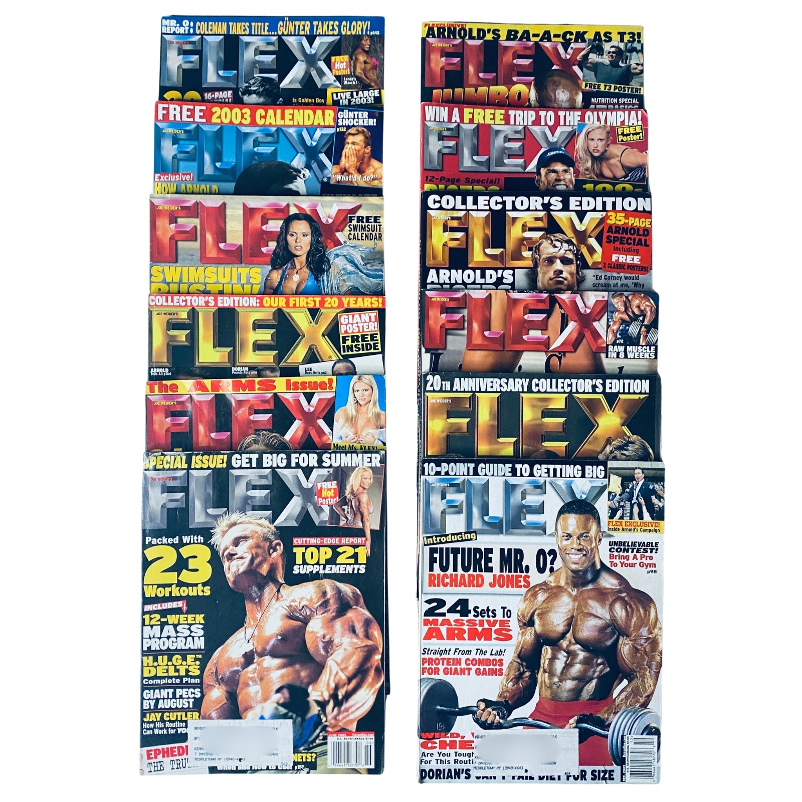Lot of 12 Flex Magazine 2003 Full Year January to December - Covers showcasing bodybuilding content, featuring fitness stars and workout routines.