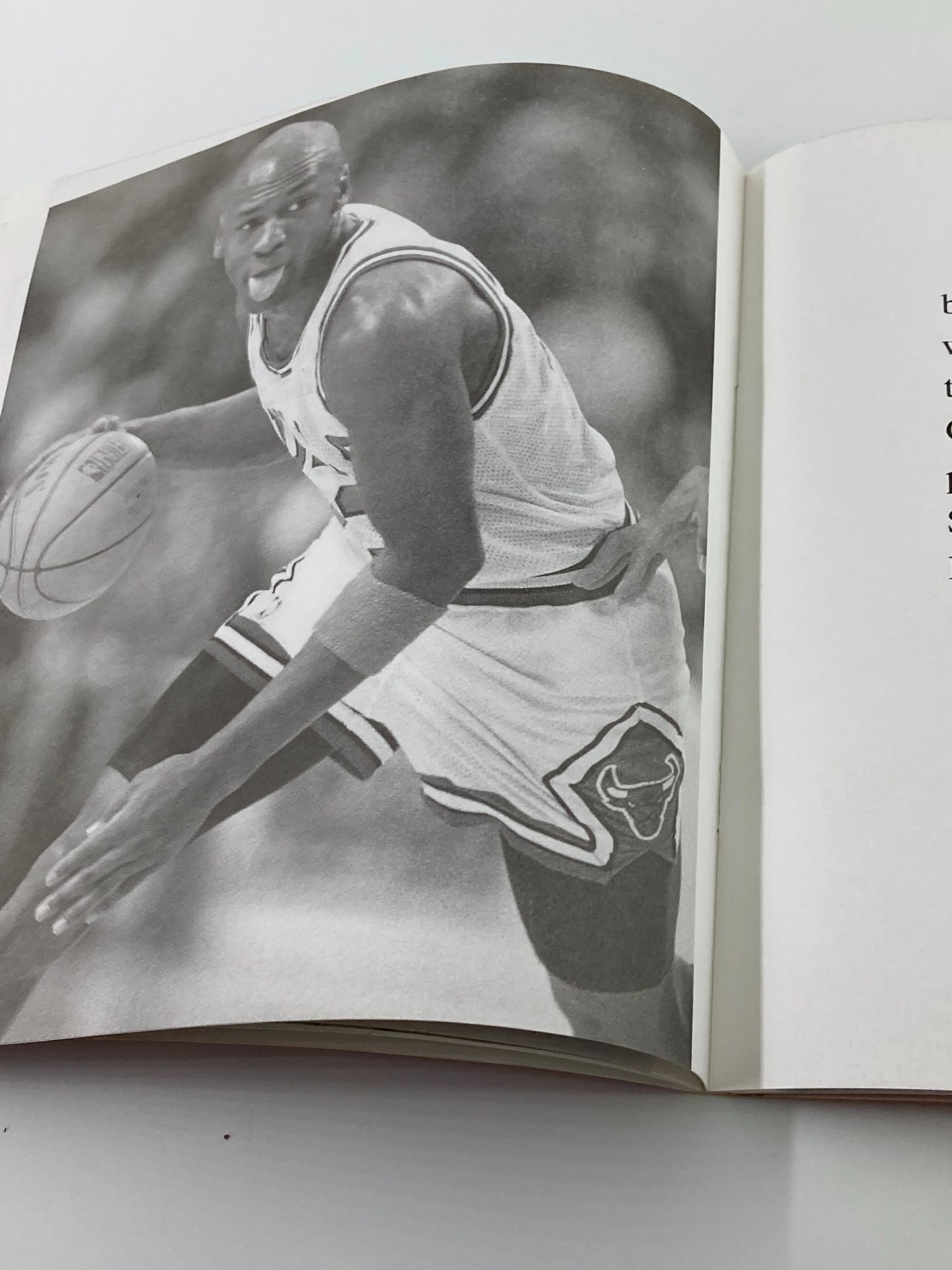 Illustrated Biography of Superstar Michael Jordan by Richard J. Brenner