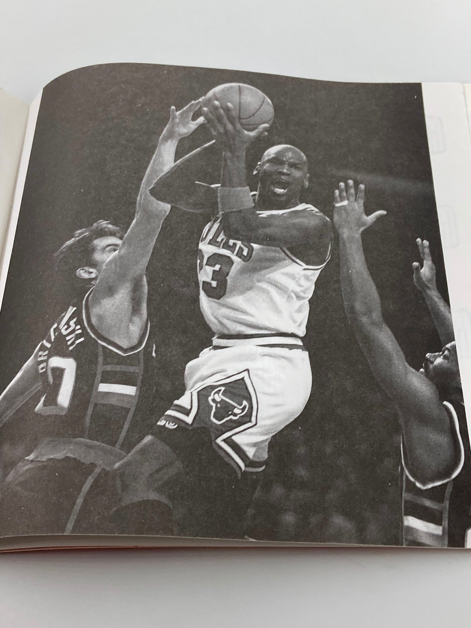 Illustrated Biography of Superstar Michael Jordan by Richard J. Brenner