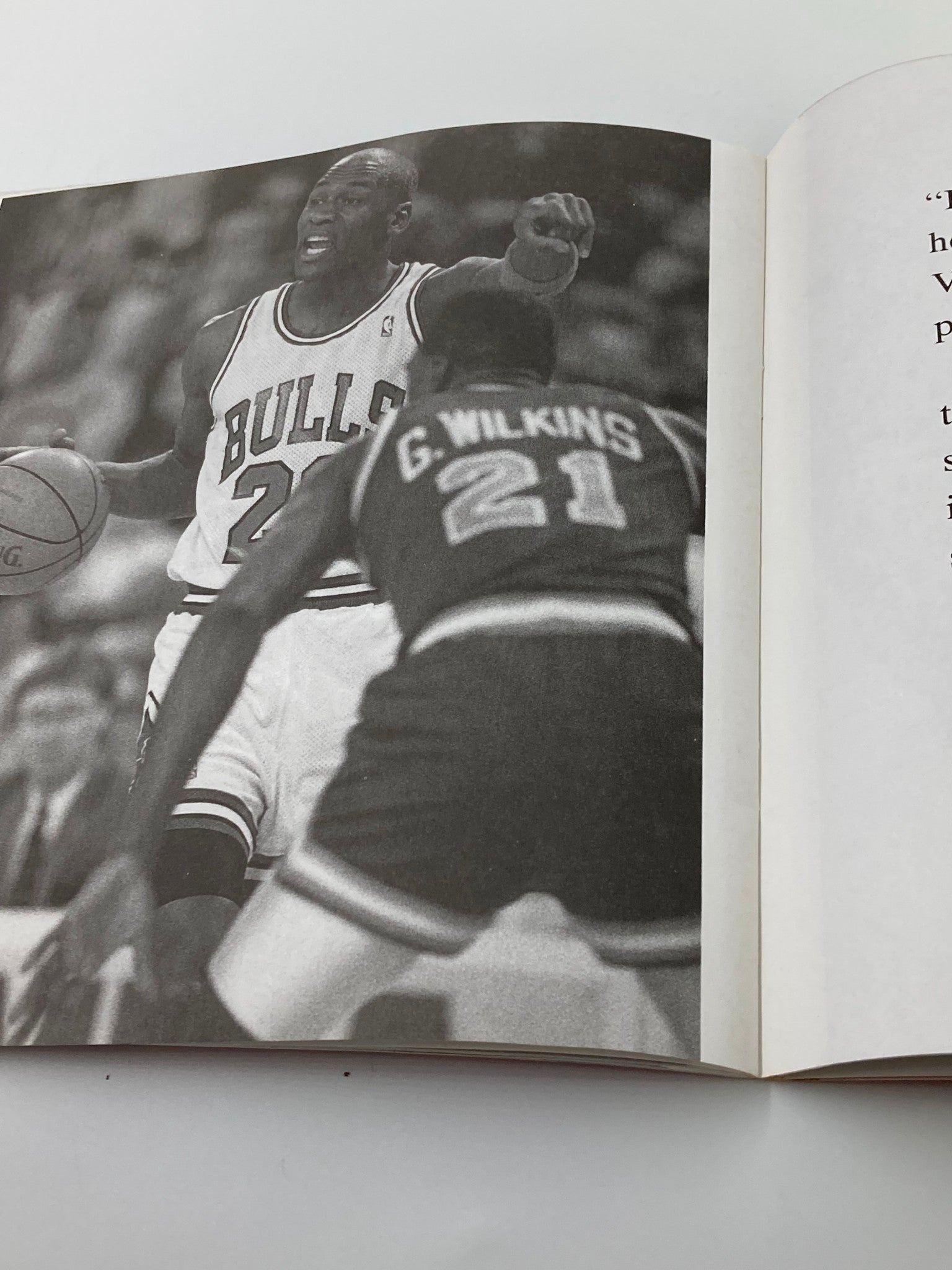 Illustrated Biography of Superstar Michael Jordan by Richard J. Brenner