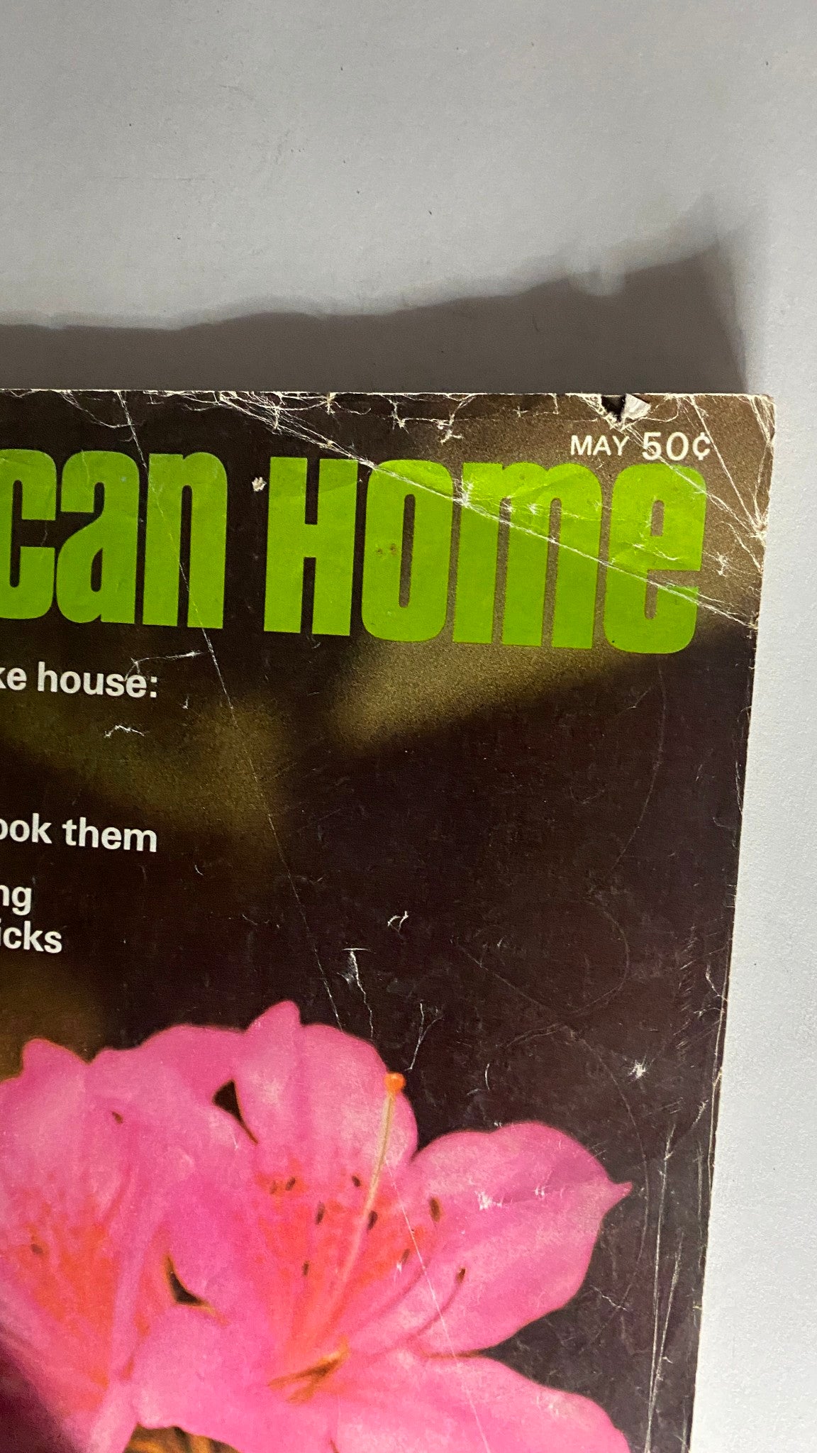 VTG American Home Magazine May 1968 Azaleas from Japan No Label