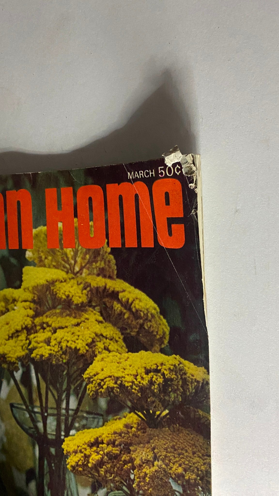 VTG American Home Magazine March 1968 Whole Houseful of Ideas No Label