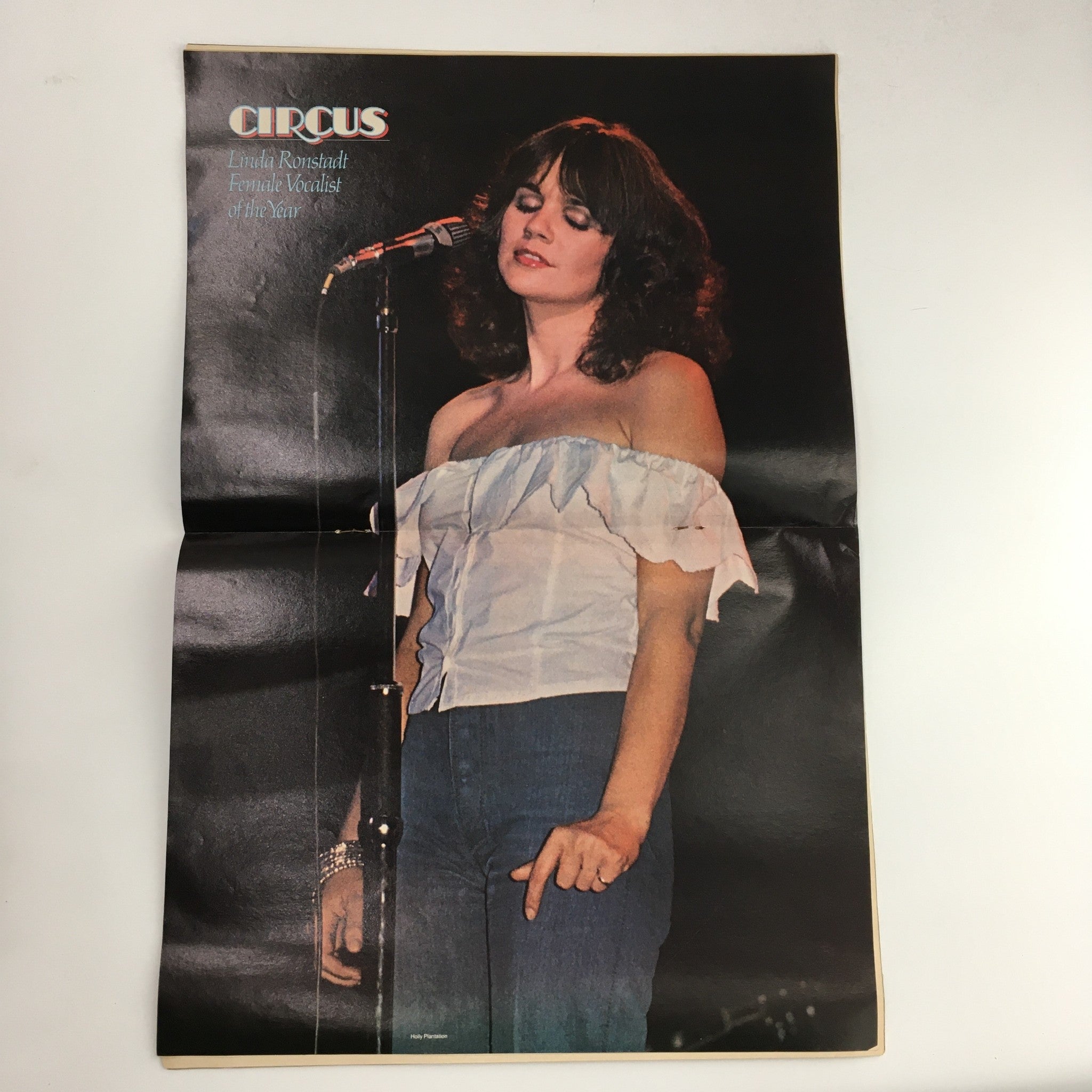 Circus Magazine February 14 1977 Lindsay Wagner & Linda Ronstadt Poster No Label