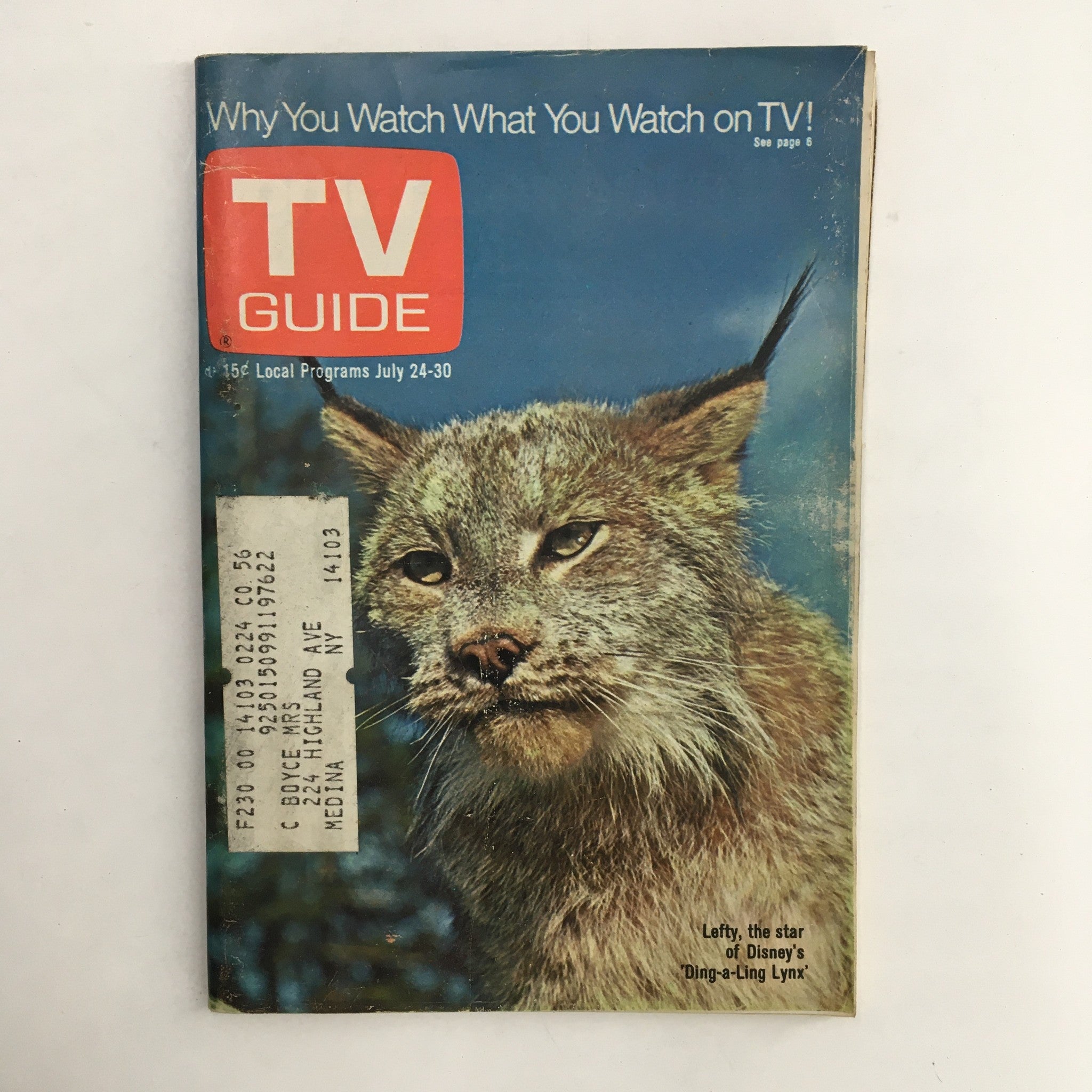 TV Guide Magazine July 24 1971 Left, The Lynx Cover by Walt Disney Rochester NY