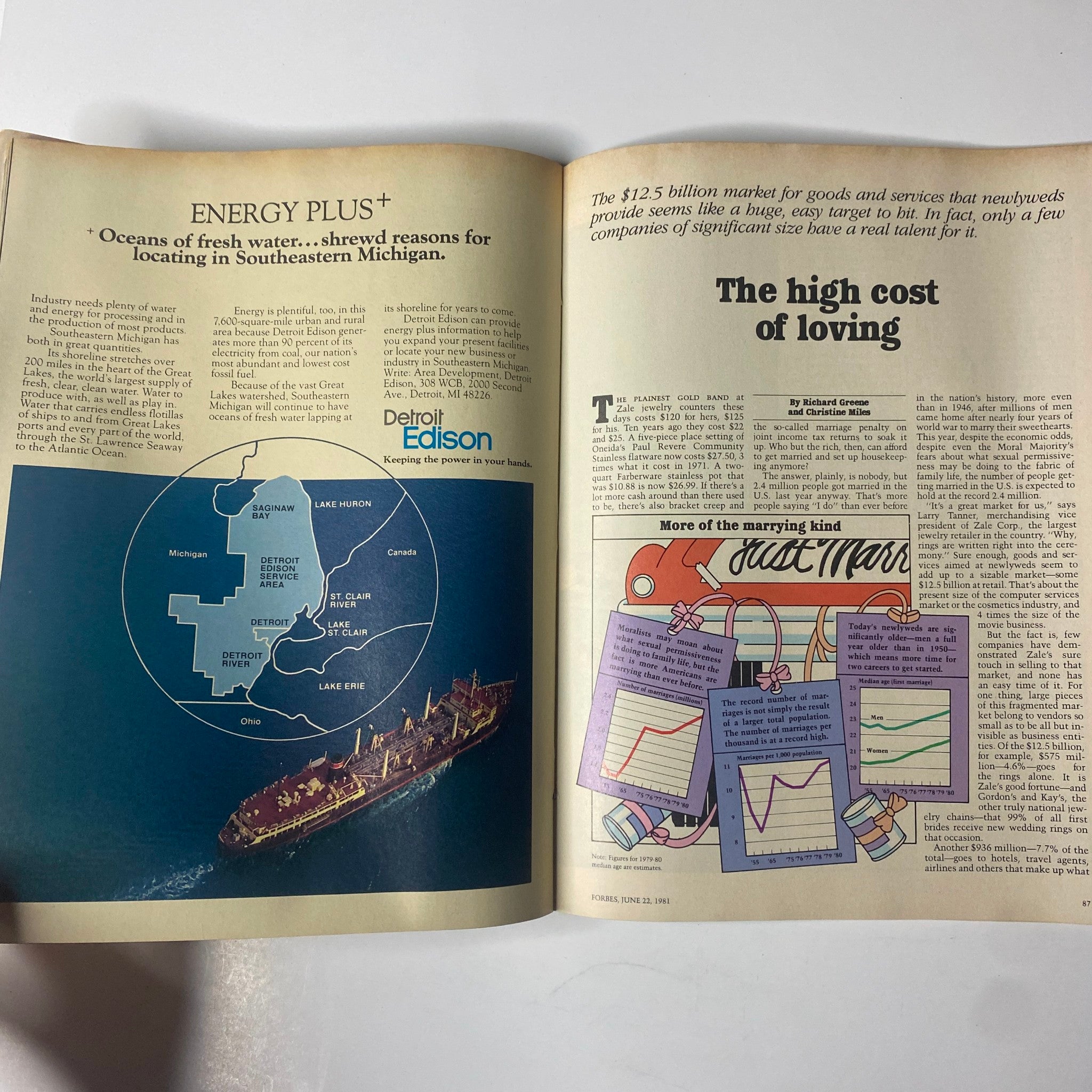An open spread from Forbes Magazine, June 22, 1981, titled 'The high cost of loving.' The page discusses the financial implications of marriage amid rising costs and features an image of a Detroit Edison map, representing energy sectors.