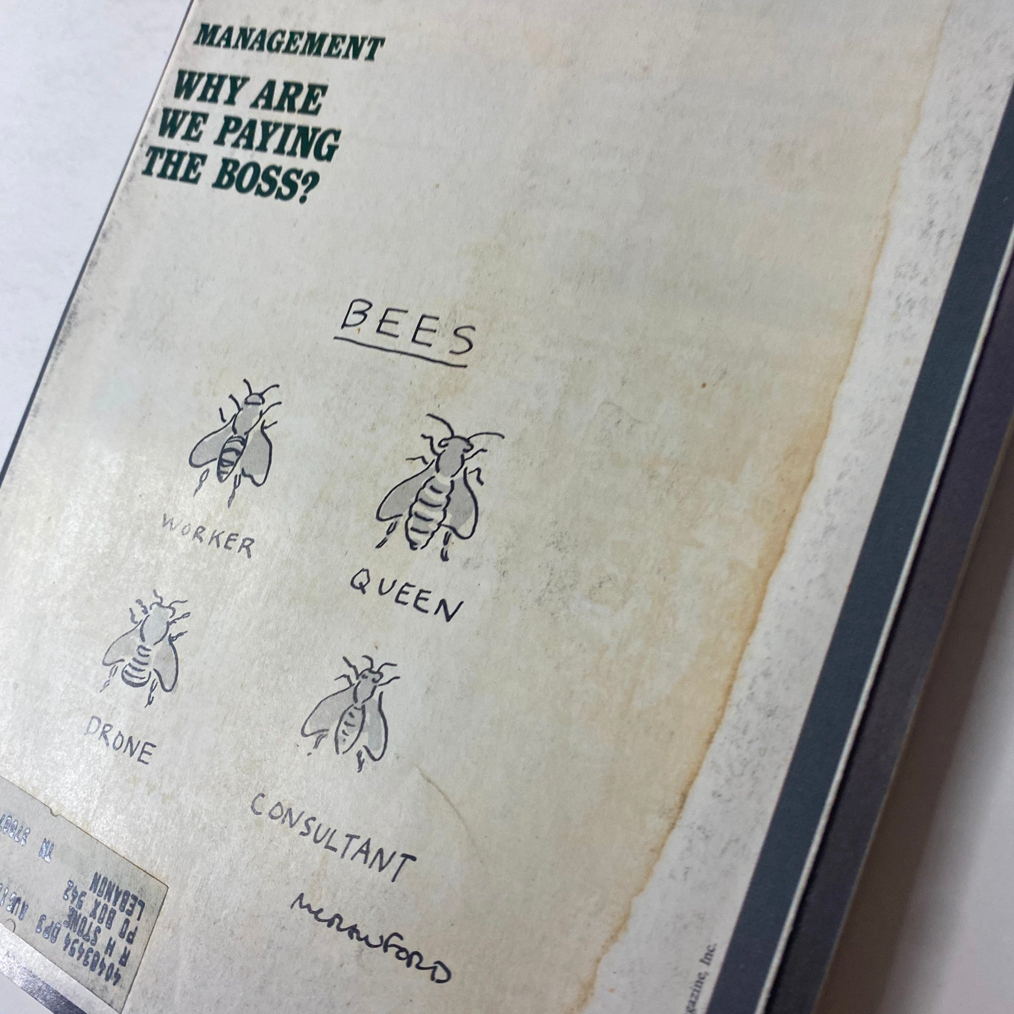Close-up of the Forbes Magazine cover from October 10, 1983, highlighting the title 'Management: Why Are We Paying The Boss?' and an illustration of bees with their roles.