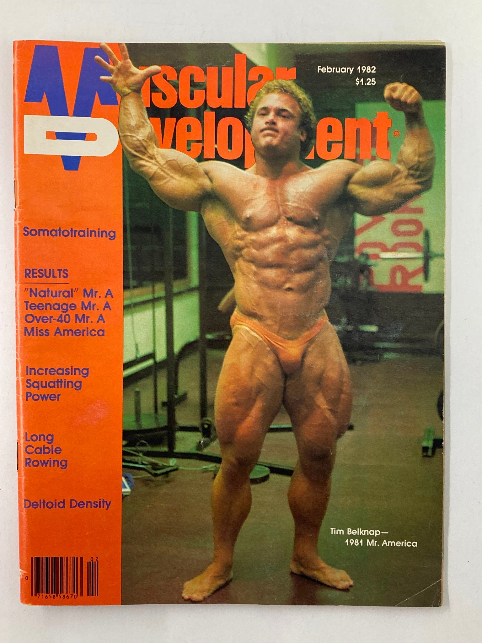 Cover of VTG Muscular Development Magazine February 1982 Vol 19 #1 featuring Tim Belknap showcasing bodybuilding culture of the early 1980s.