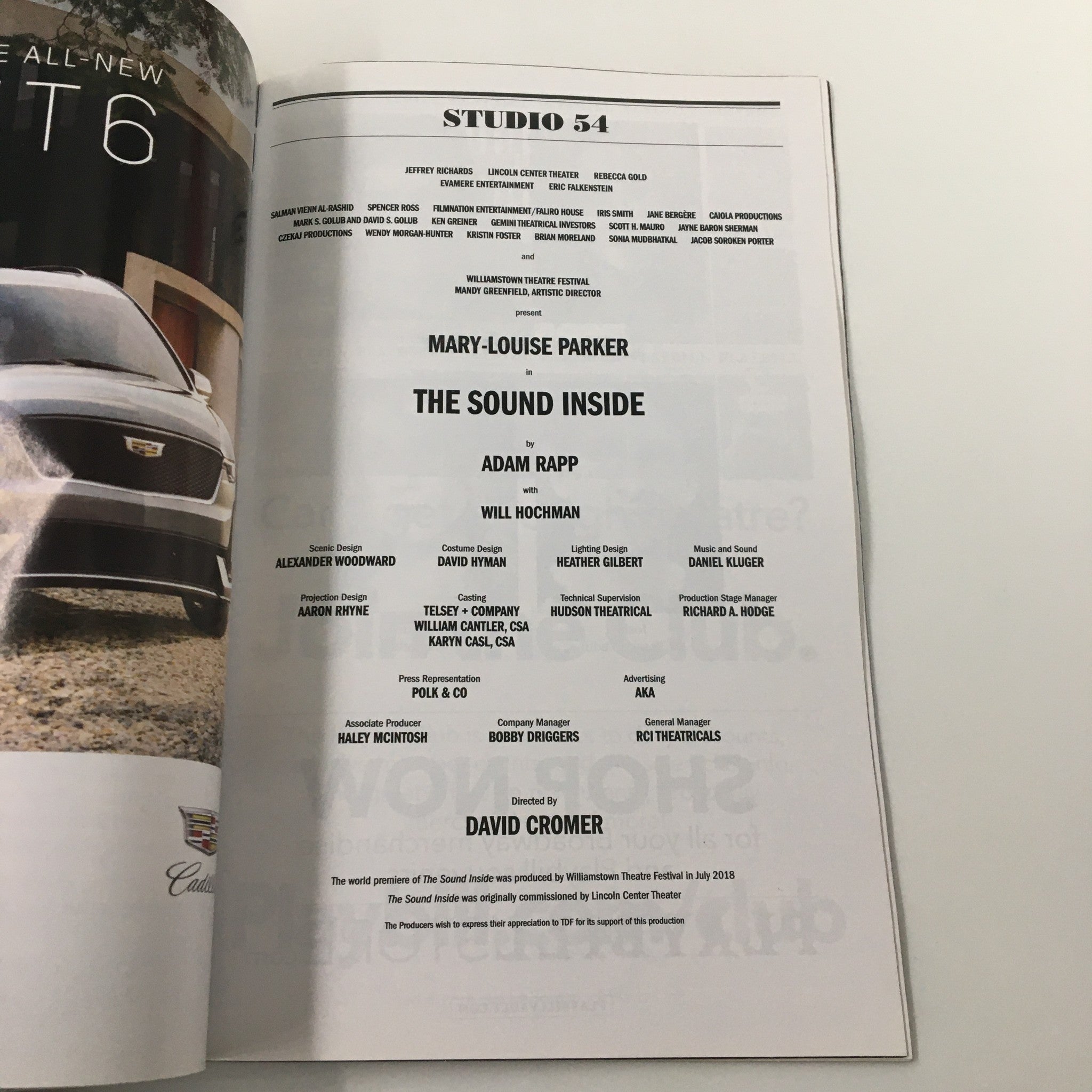 2019 Playbill Studio 54 Mary-Louise Parker in The Sound Inside by Adam Rapp