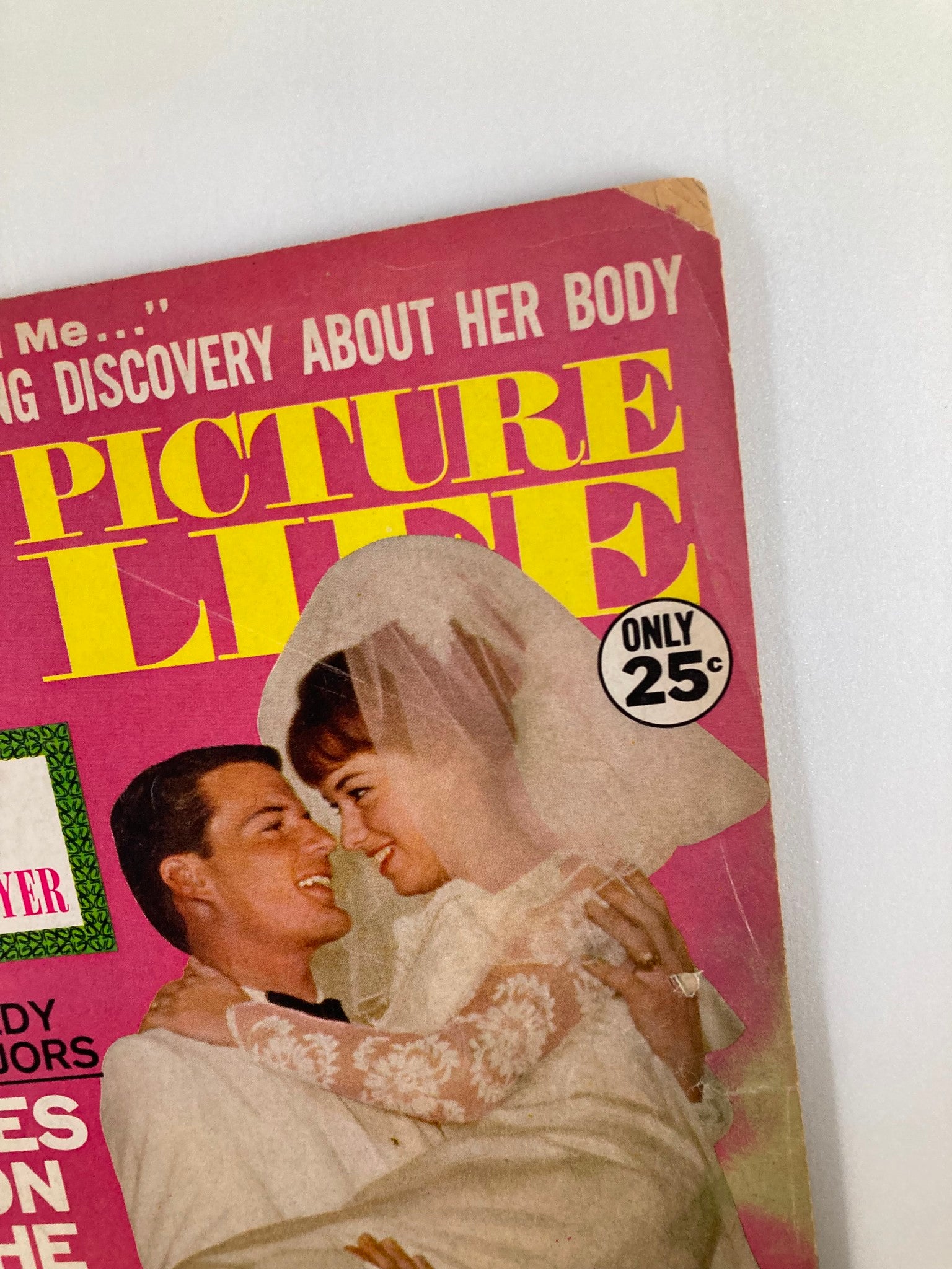 VTG TV Picture Life Magazine June 1966 Vol 11 #6 Emily & Robert Lansing No Label