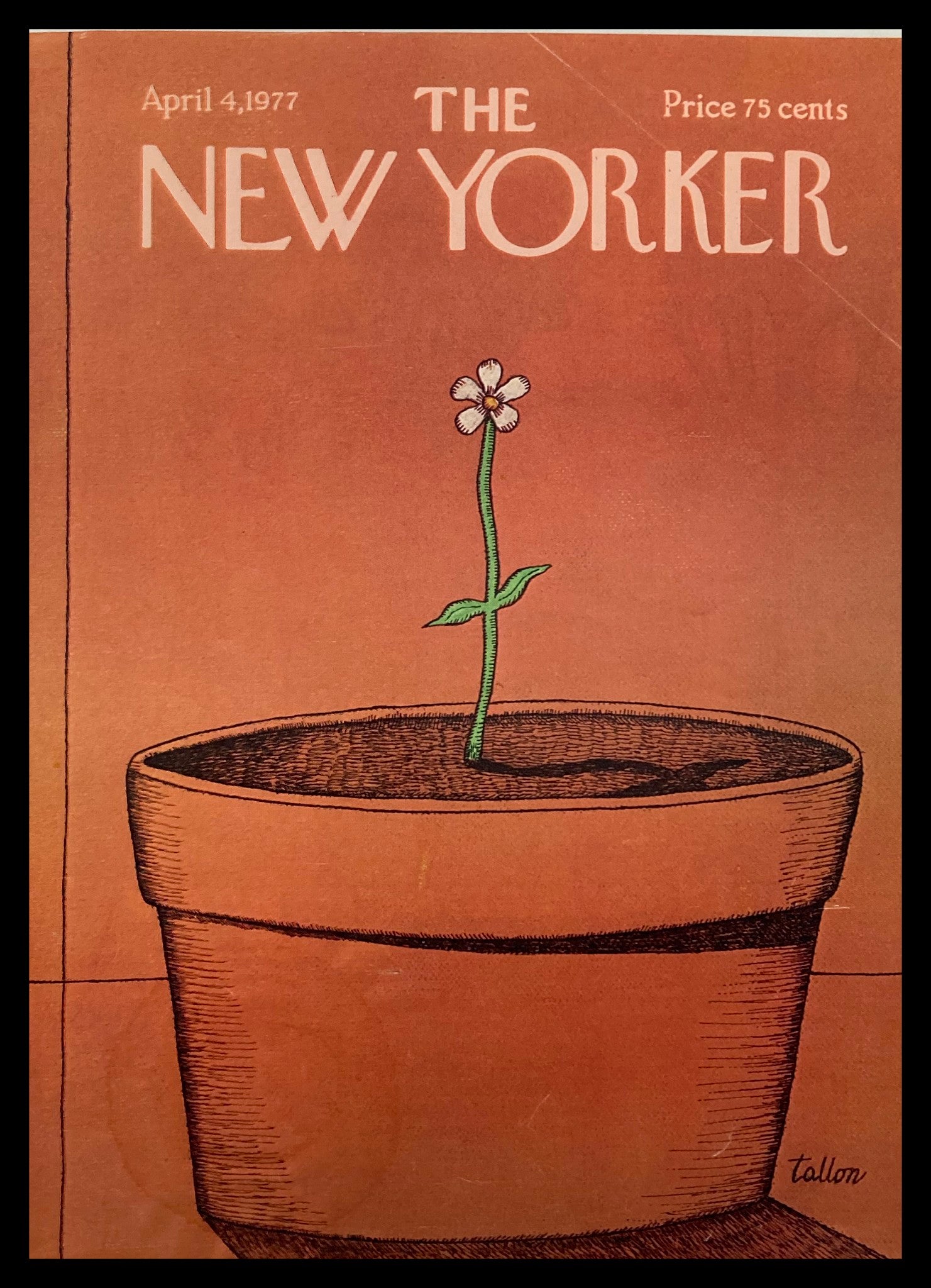 COVER ONLY The New Yorker April 4 1977 A Flower by Robert Tallon No Label