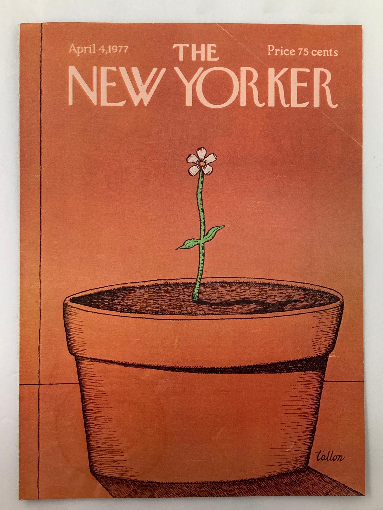 COVER ONLY The New Yorker April 4 1977 A Flower by Robert Tallon No Label