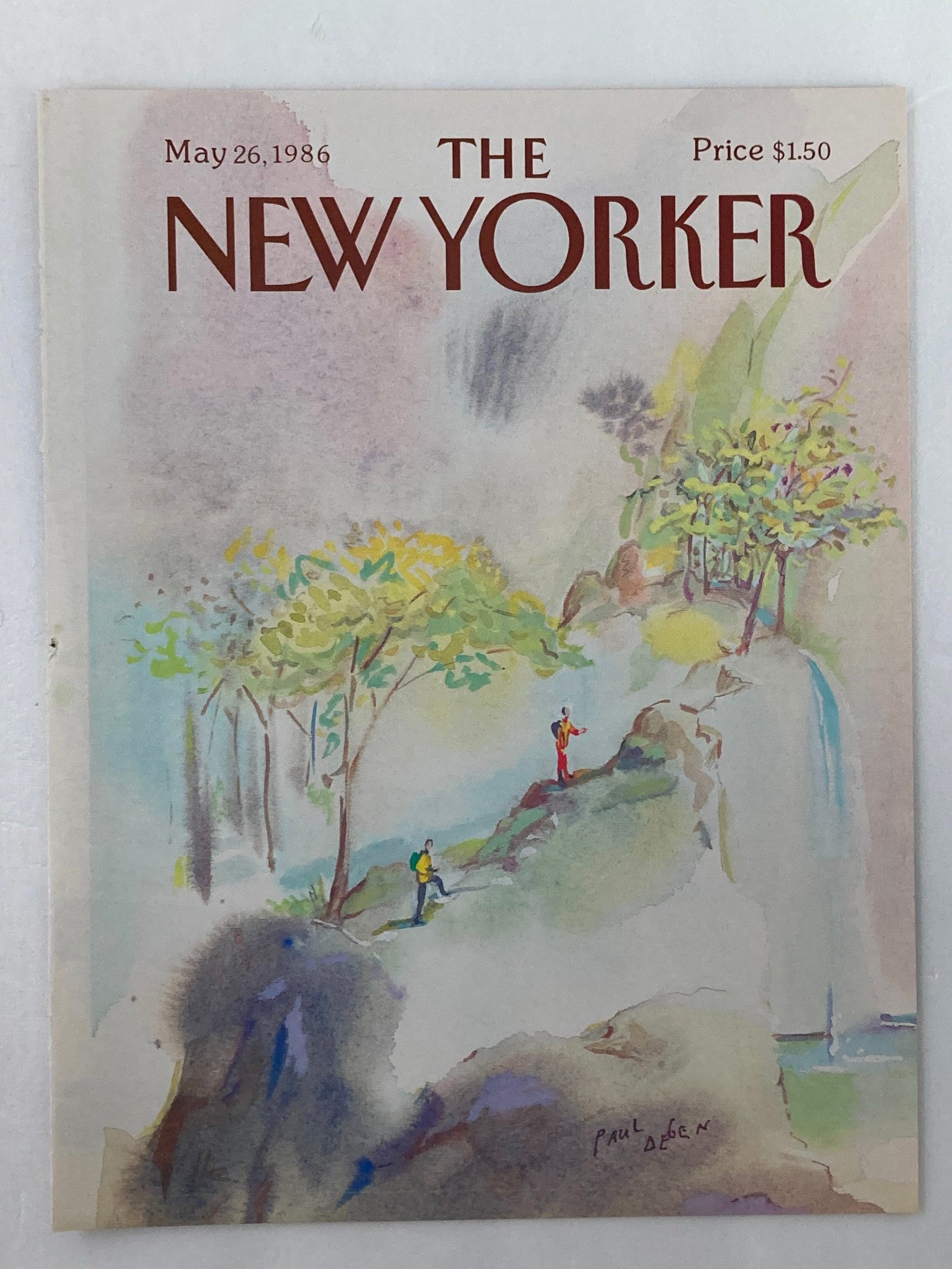 COVER ONLY The New Yorker May 28 1986 Small Falls by Paul Degen No Label