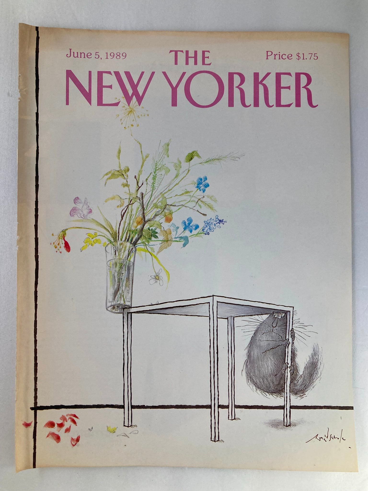 COVER ONLY The New Yorker June 5 1989 On The Edge by Ronald Searle No Label