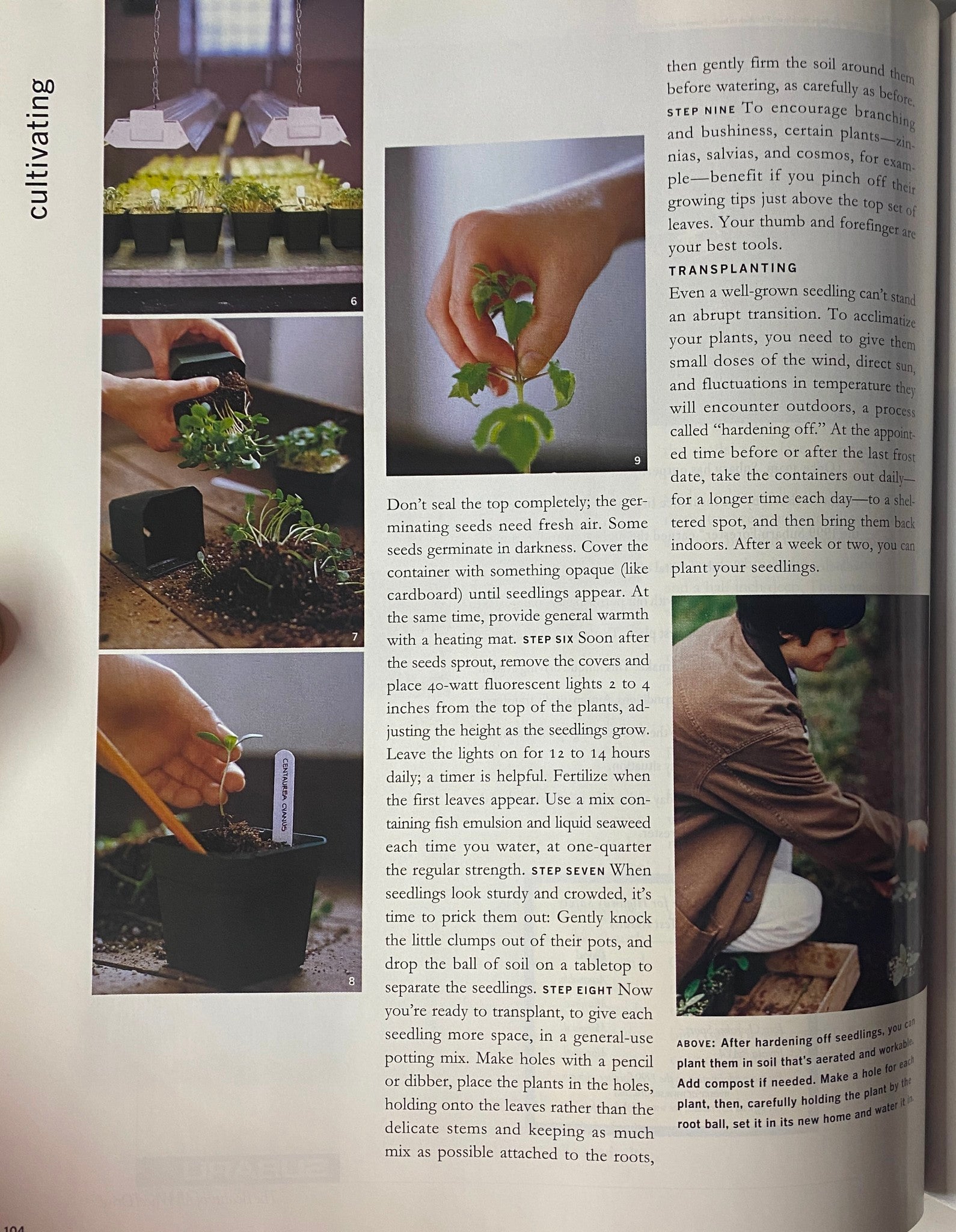 Martha Stewart Living Magazine March 1999 Special Gardening Issue VG