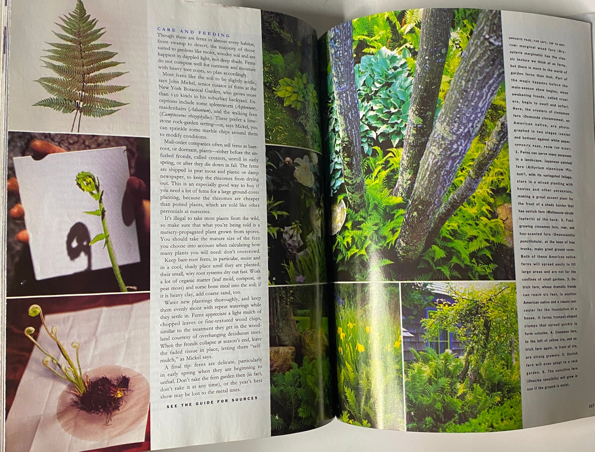 Martha Stewart Living Magazine April 1995 A Swedish-Inspired Bedroom