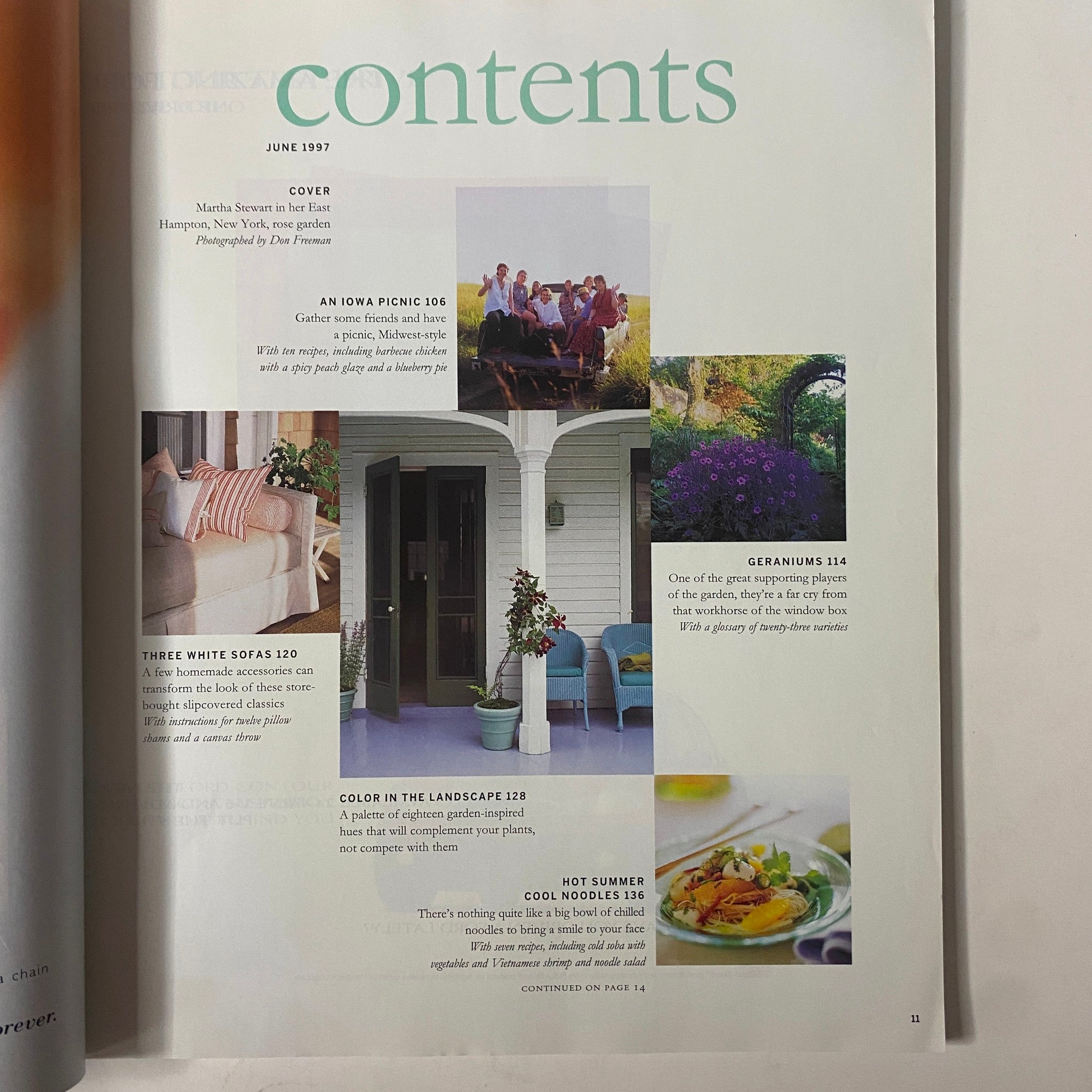Martha Stewart Living Magazine June 1997 Paint in the Landscape No Label VG