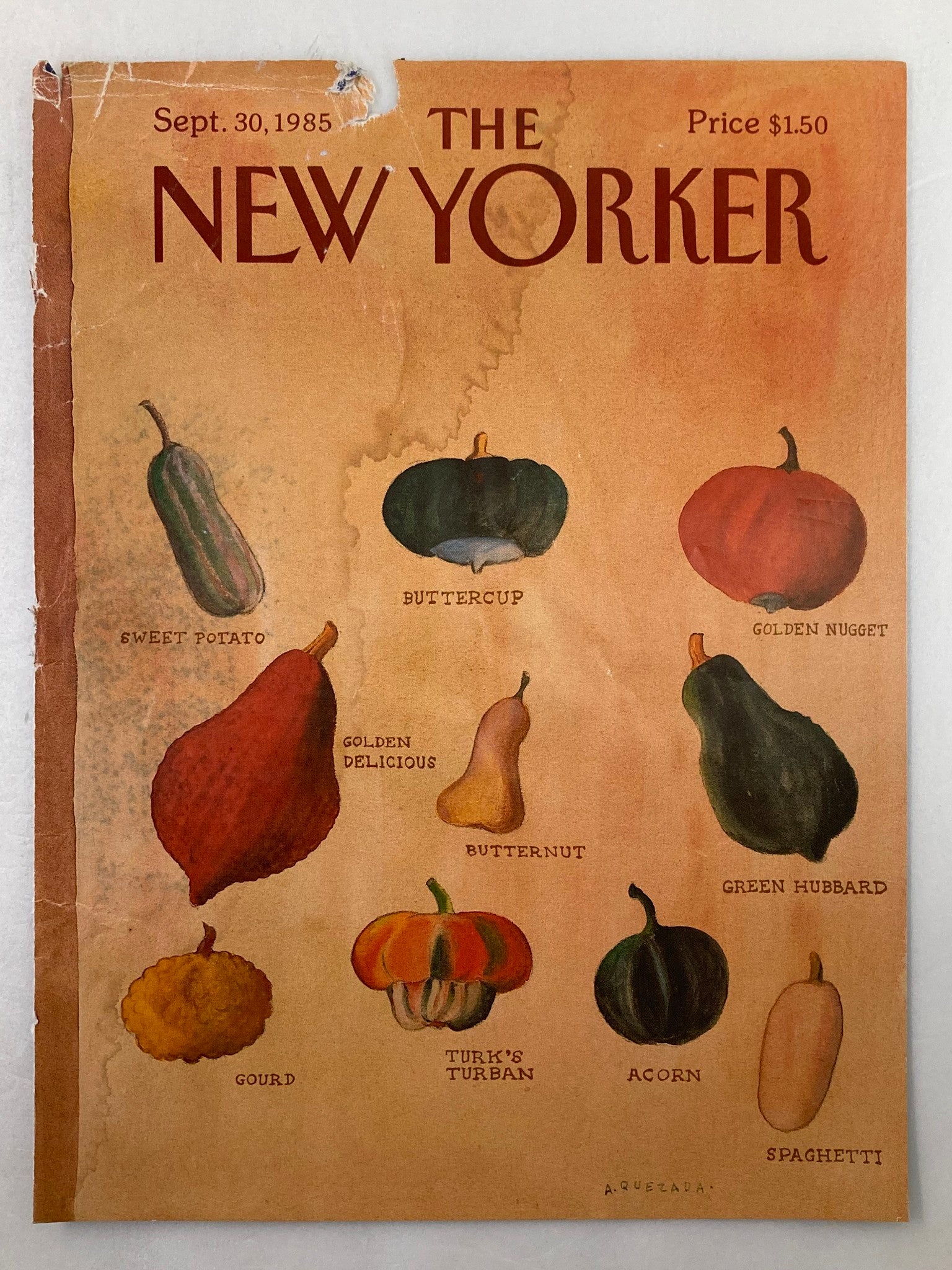 COVER ONLY The New Yorker September 30 1985 Pepper Family by Quezada No Label