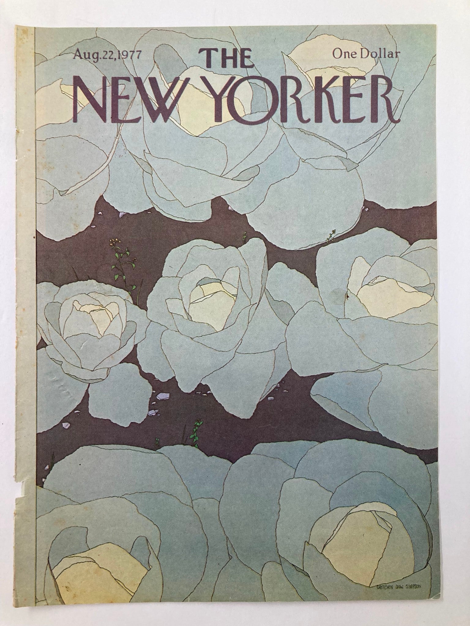 COVER ONLY The New Yorker August 22 1977 Cabbage by Gretchen Simpson No Label