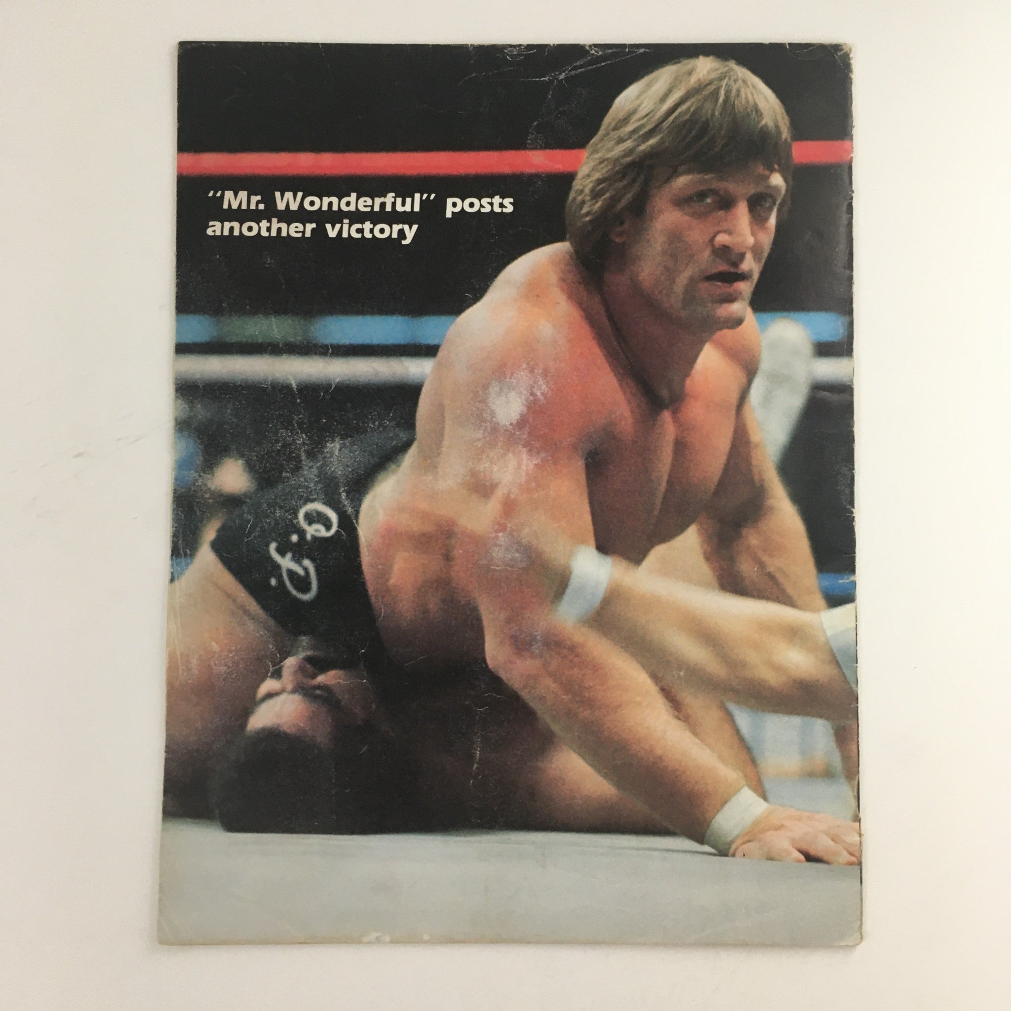 WWF Program #113 June 23 1984 showcases Mr. Wonderful in a dominating position over an opponent in the wrestling ring, emphasizing his victorious moments.