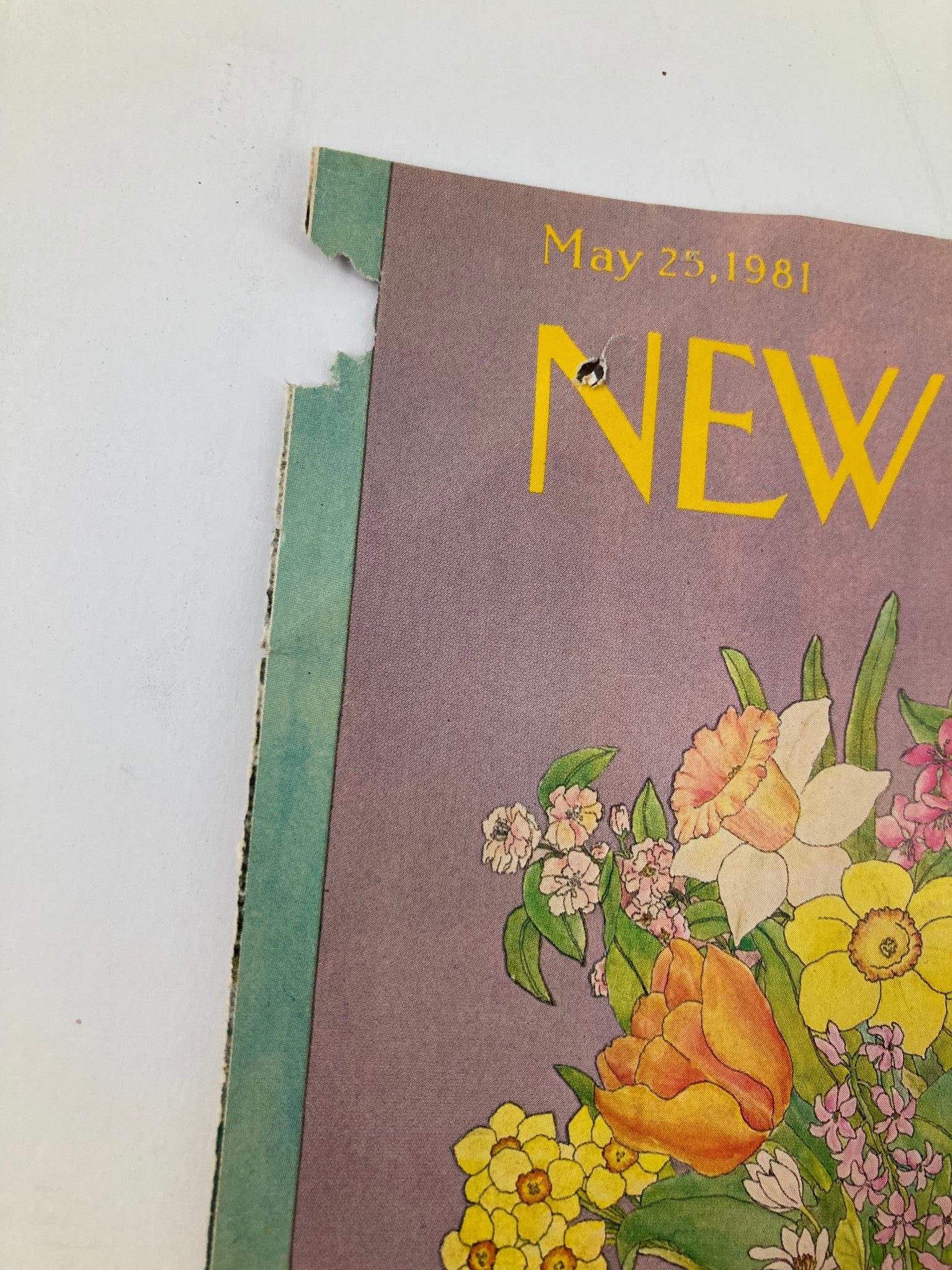 COVER ONLY The New Yorker May 25 1981 Flower Vase by Jenni Oliver No Label