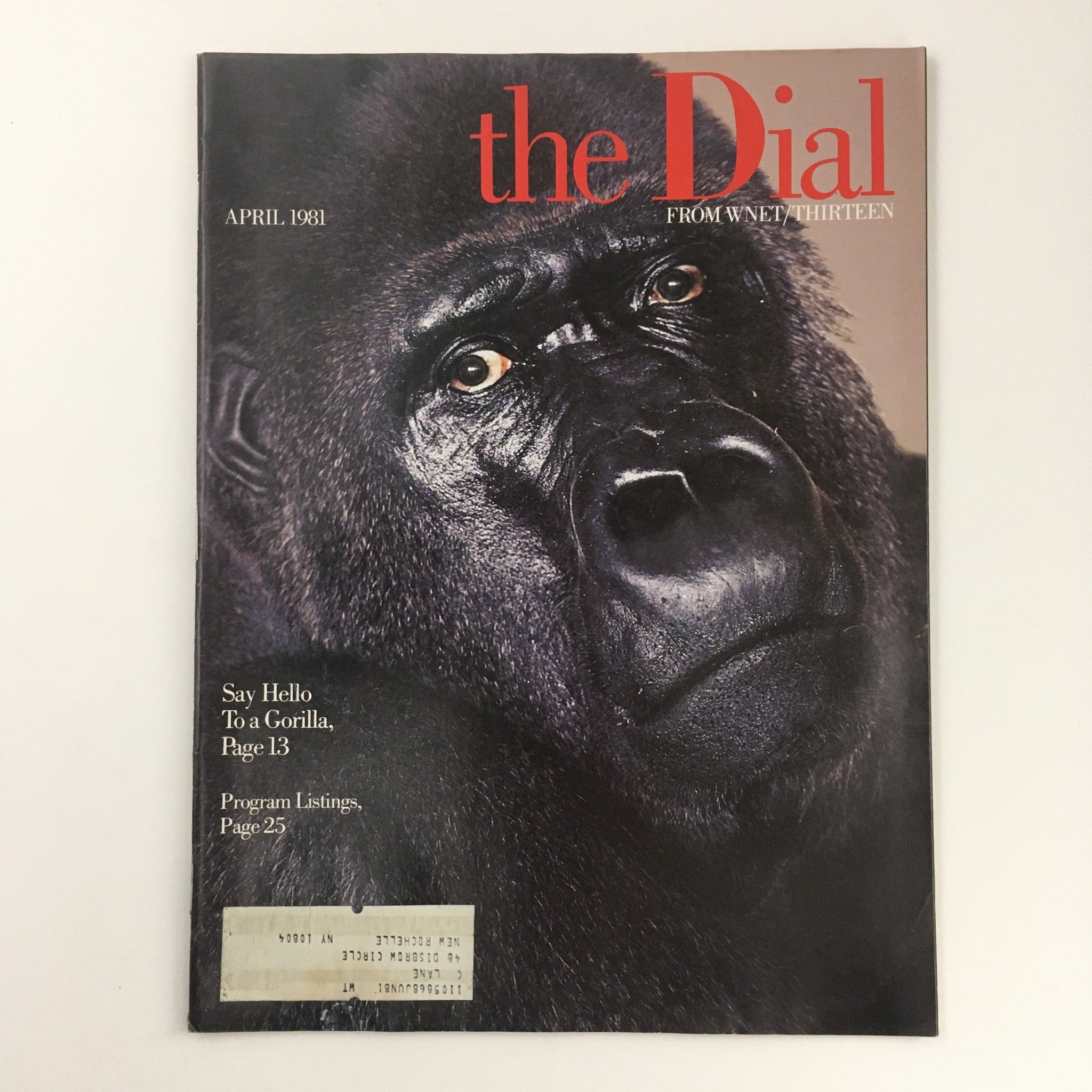 The Dial Magazine from April 1981 featuring a close-up of a gorilla on the cover, titled 'Say Hello To A Gorilla', with additional content such as program listings.