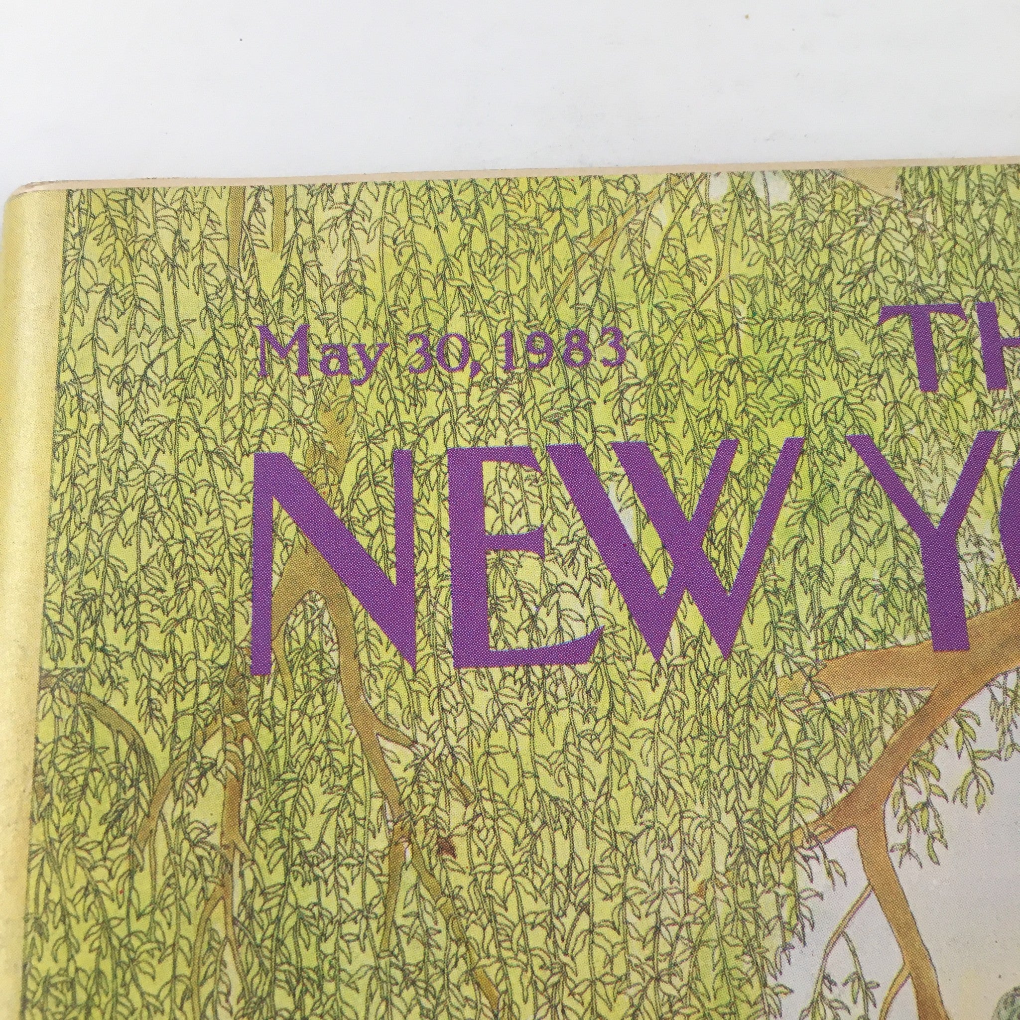 The New Yorker Magazine May 30 1983 Lakeside Afternoon by Jenni Oliver No Label