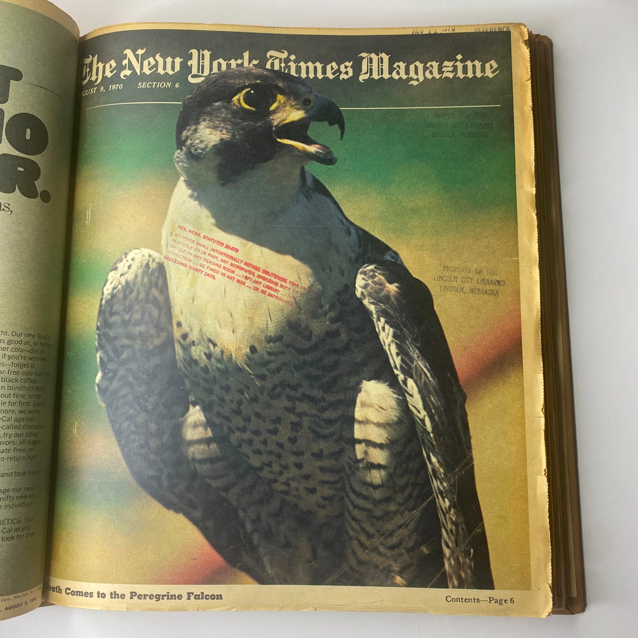 Cover of The New York Times Magazine, August 9, 1970, featuring a close-up of a peregrine falcon, emphasizing nature and wildlife.