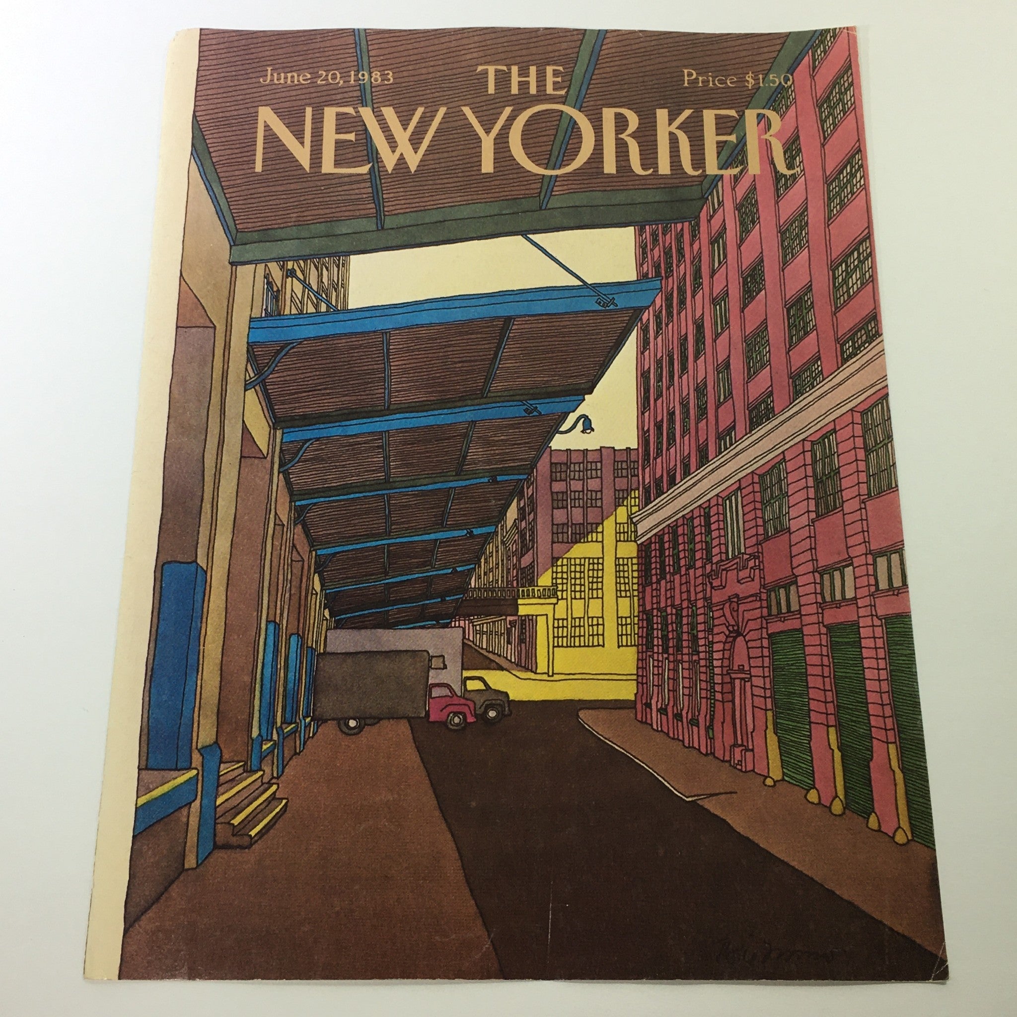 COVER ONLY - The New Yorker Magazine June 20 1983 - Roxie Munro