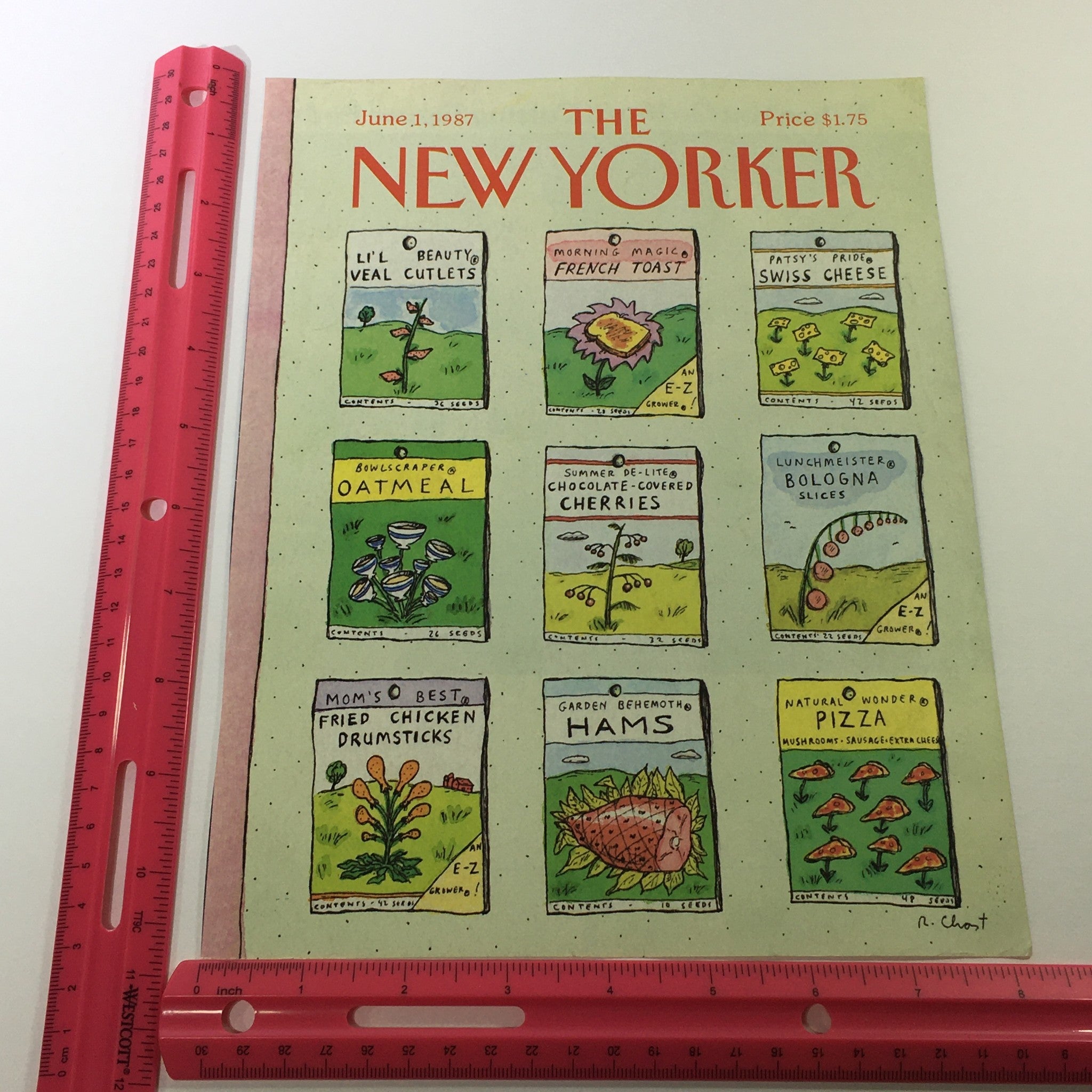 COVER ONLY - The New Yorker Magazine June 1 1987 - Roz Chast