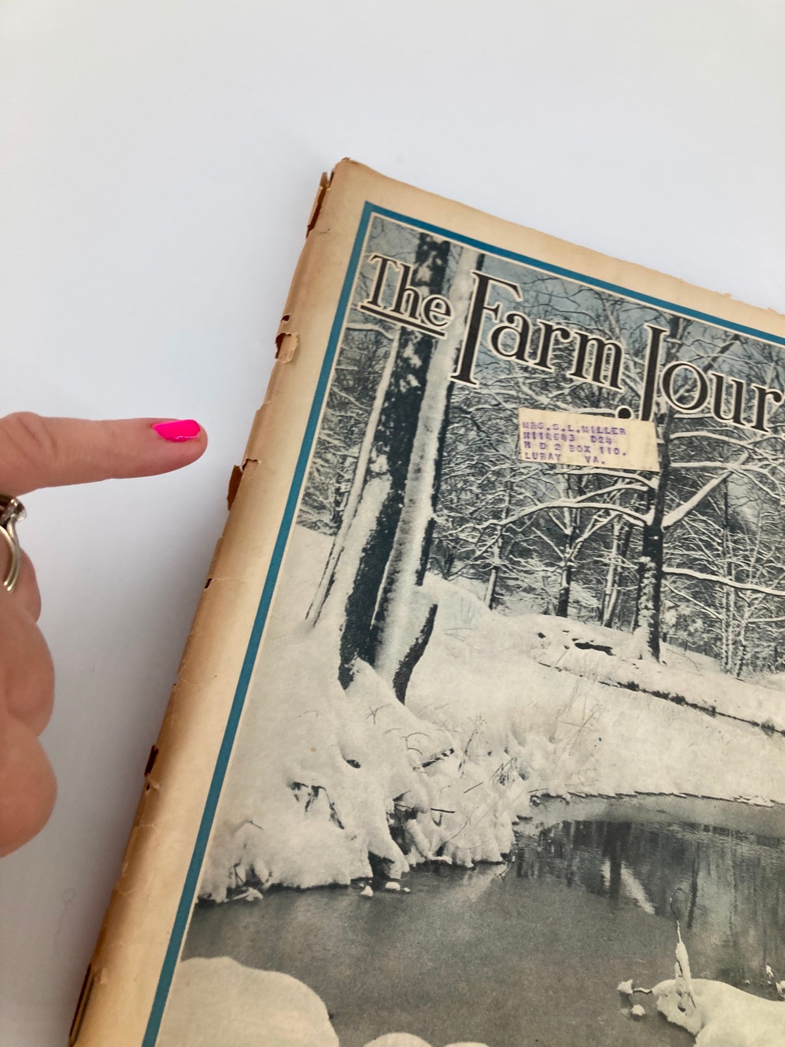 VTG The Farm Journal Magazine February 1923 Going Courting in Seven Generations