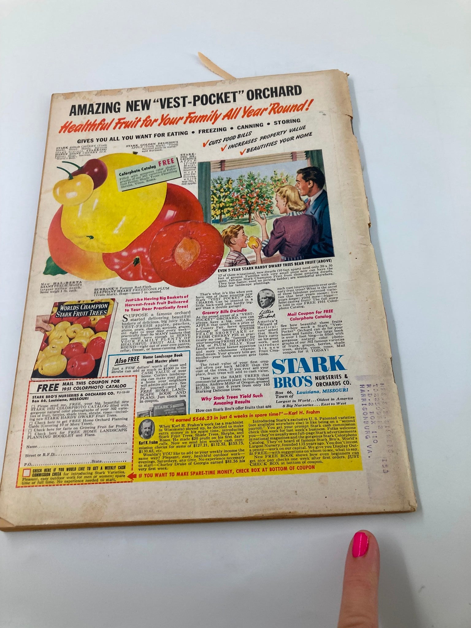 VTG Farm Journal Magazine December 1950 The Big Red Poinsettia for Christmas