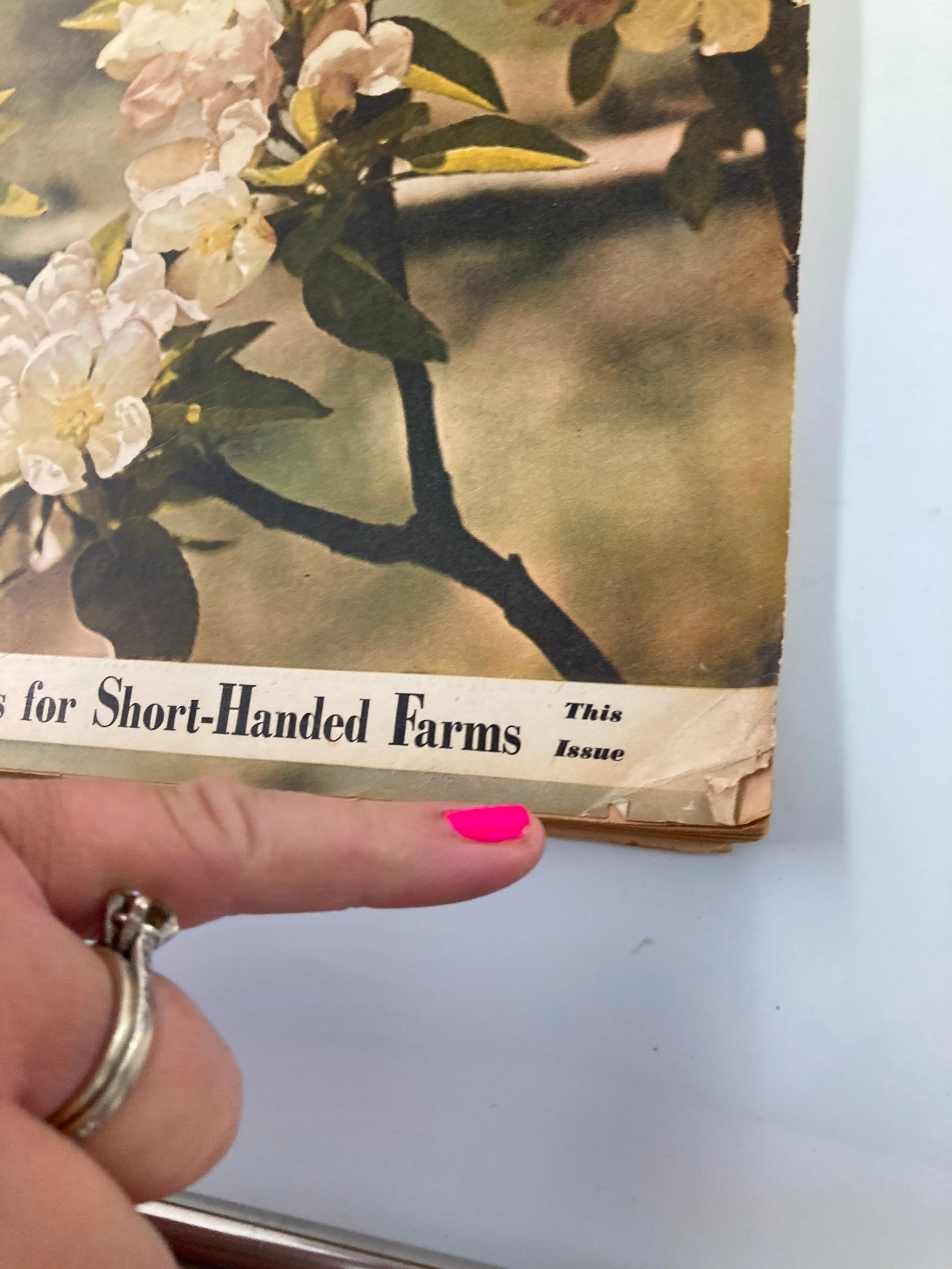 VTG Farm Journal Magazine April 1951 Fighting Weeds With Beetles