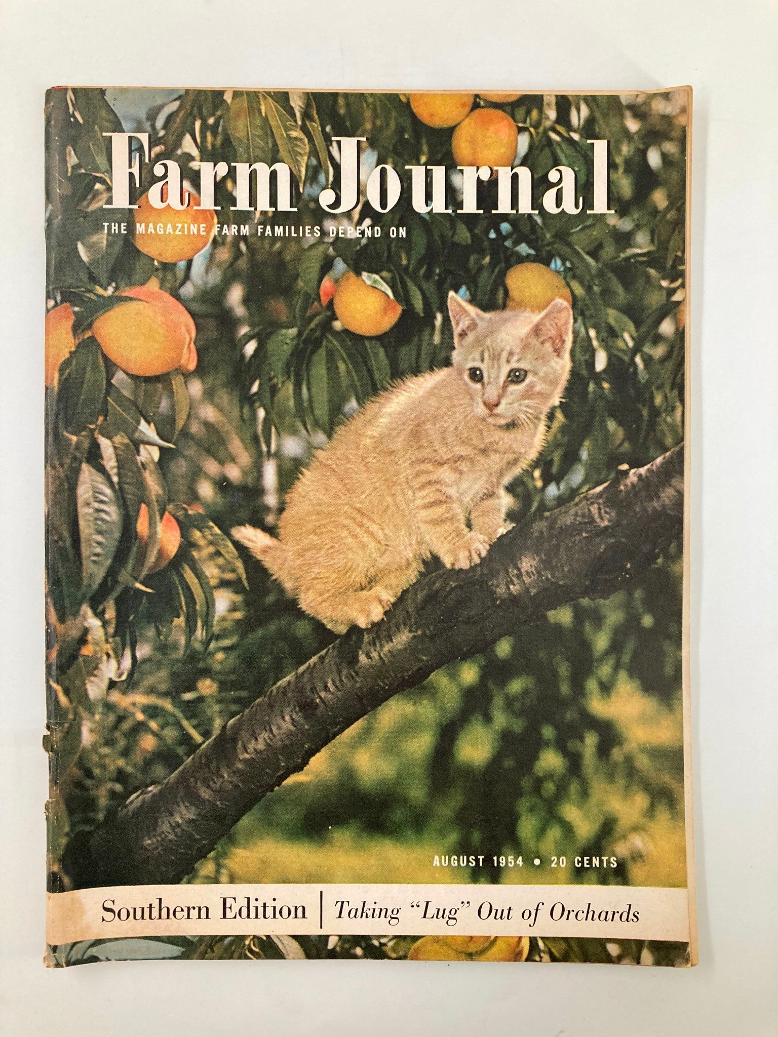 VTG Farm Journal Magazine August 1954 The Yellowish Bob-Tailed Kitten