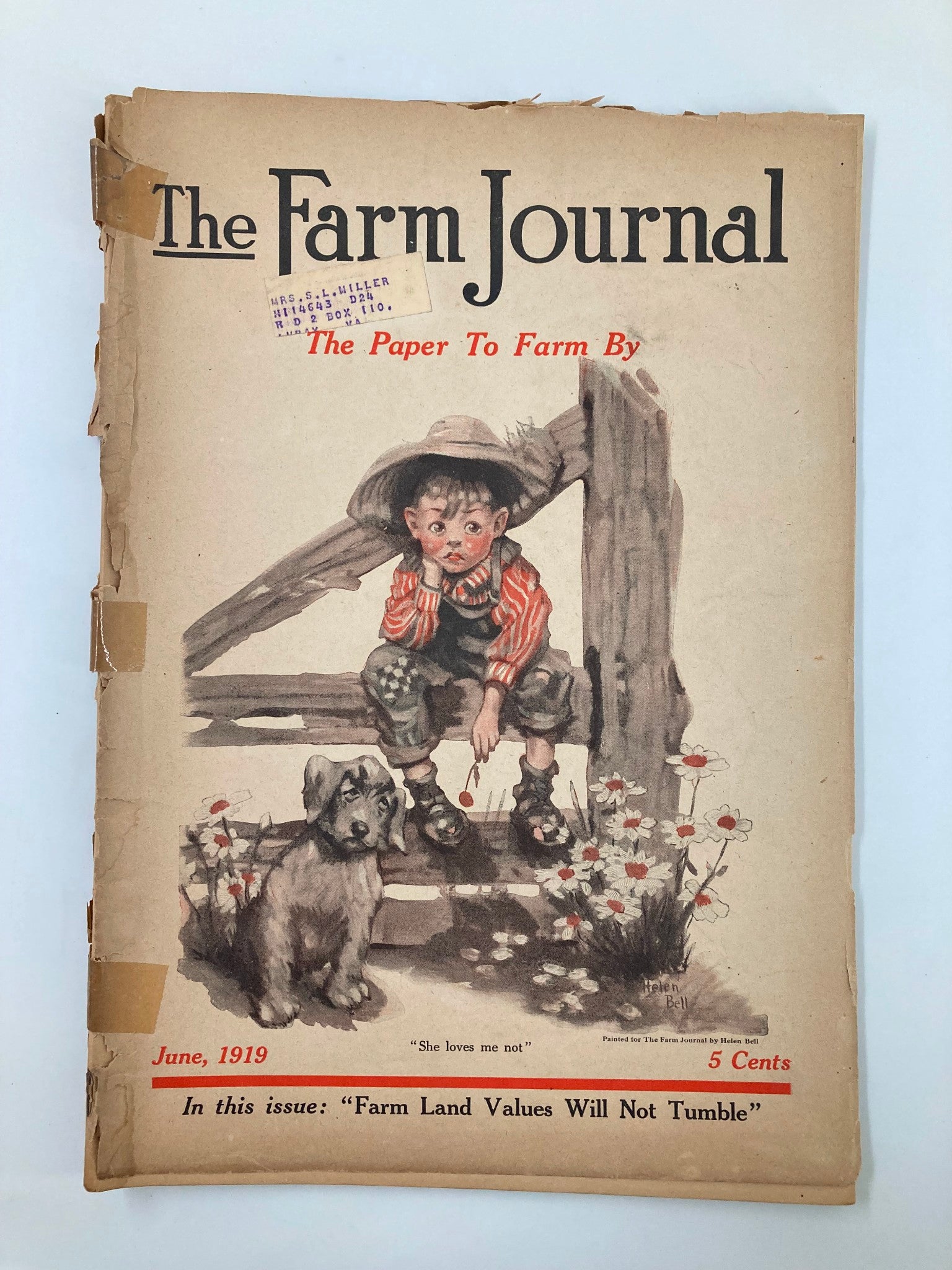 Cover of The Farm Journal magazine June 1919 featuring a young boy sitting on a fence with a dog, promoting articles on farm land values and agriculture.