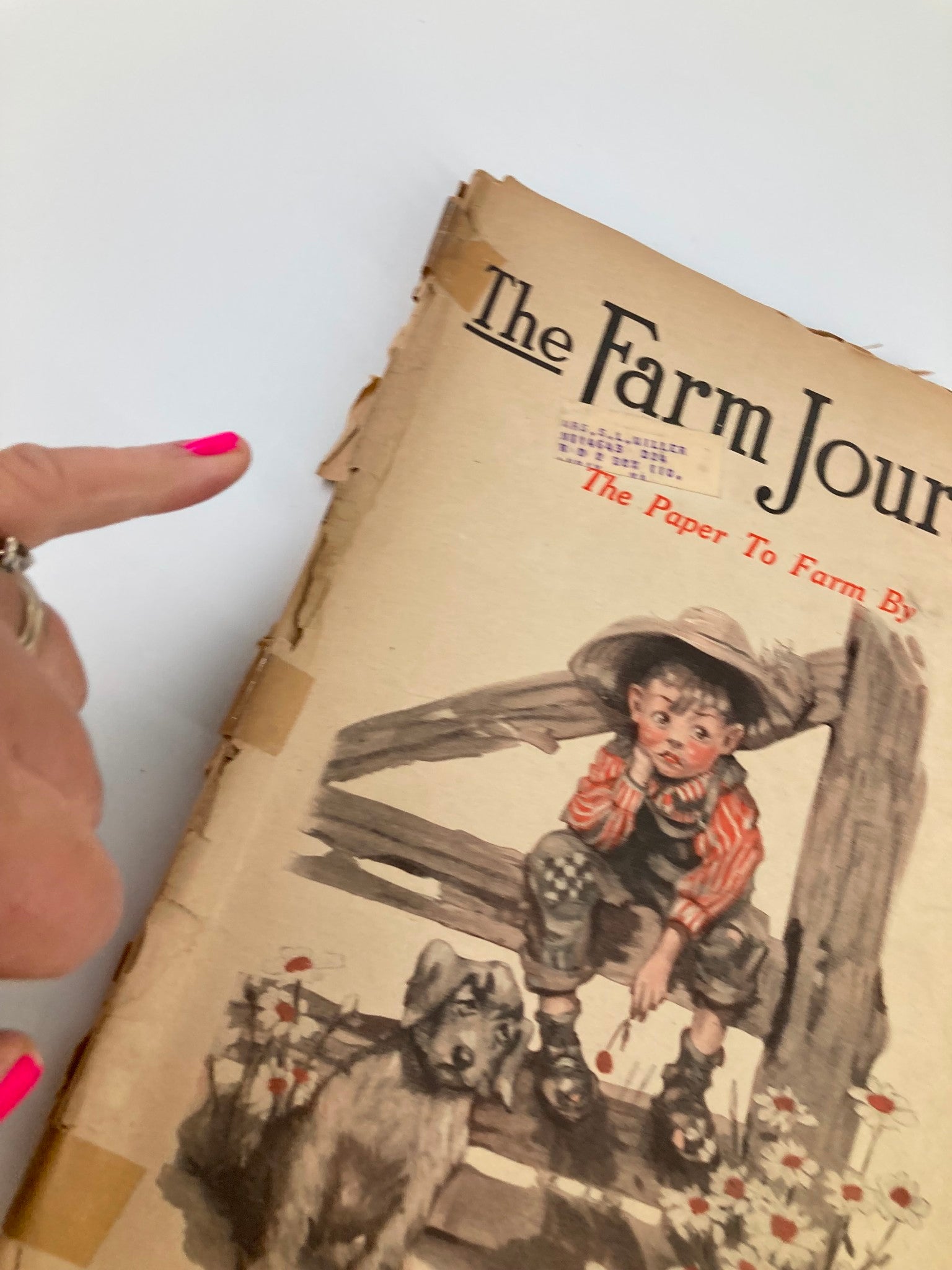 Close-up view of The Farm Journal magazine June 1919 cover showing a boy and dog, highlighting the vintage magazine's condition and historical significance.