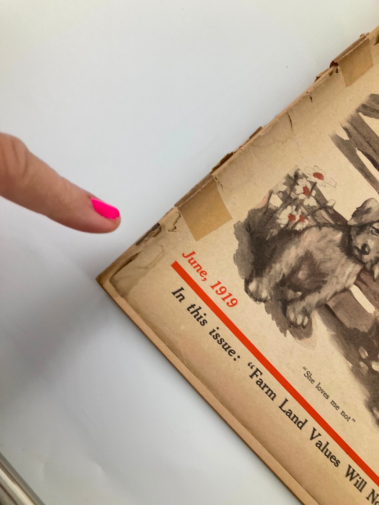 Detail of The Farm Journal magazine cover from June 1919, showing the publication date and mention of farm land values, emphasizing its collectible nature.