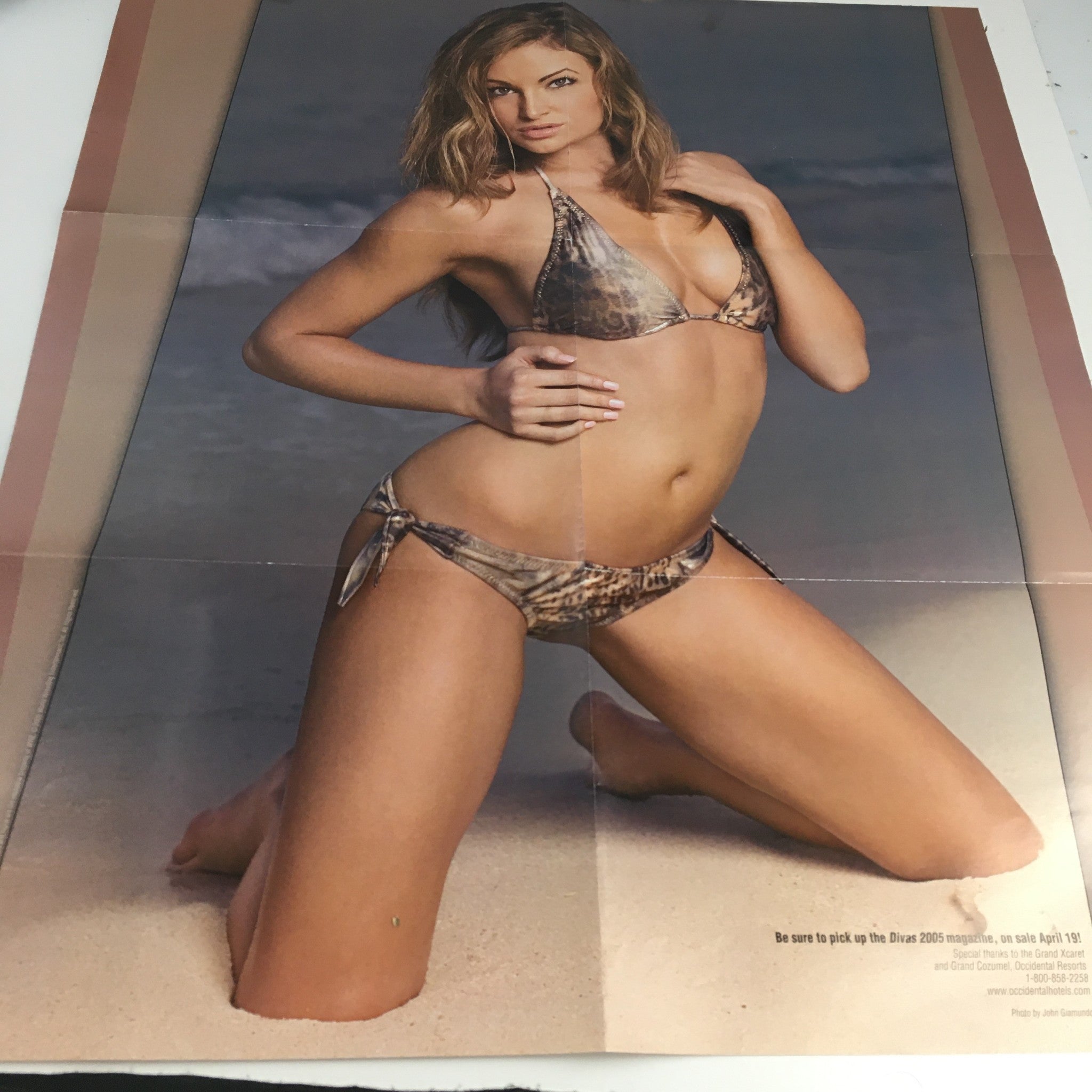 Inside poster from WWE Raw Magazine April 2005, featuring a model posed in a bikini on the beach, emphasizing the magazine's variety of content beyond wrestling.