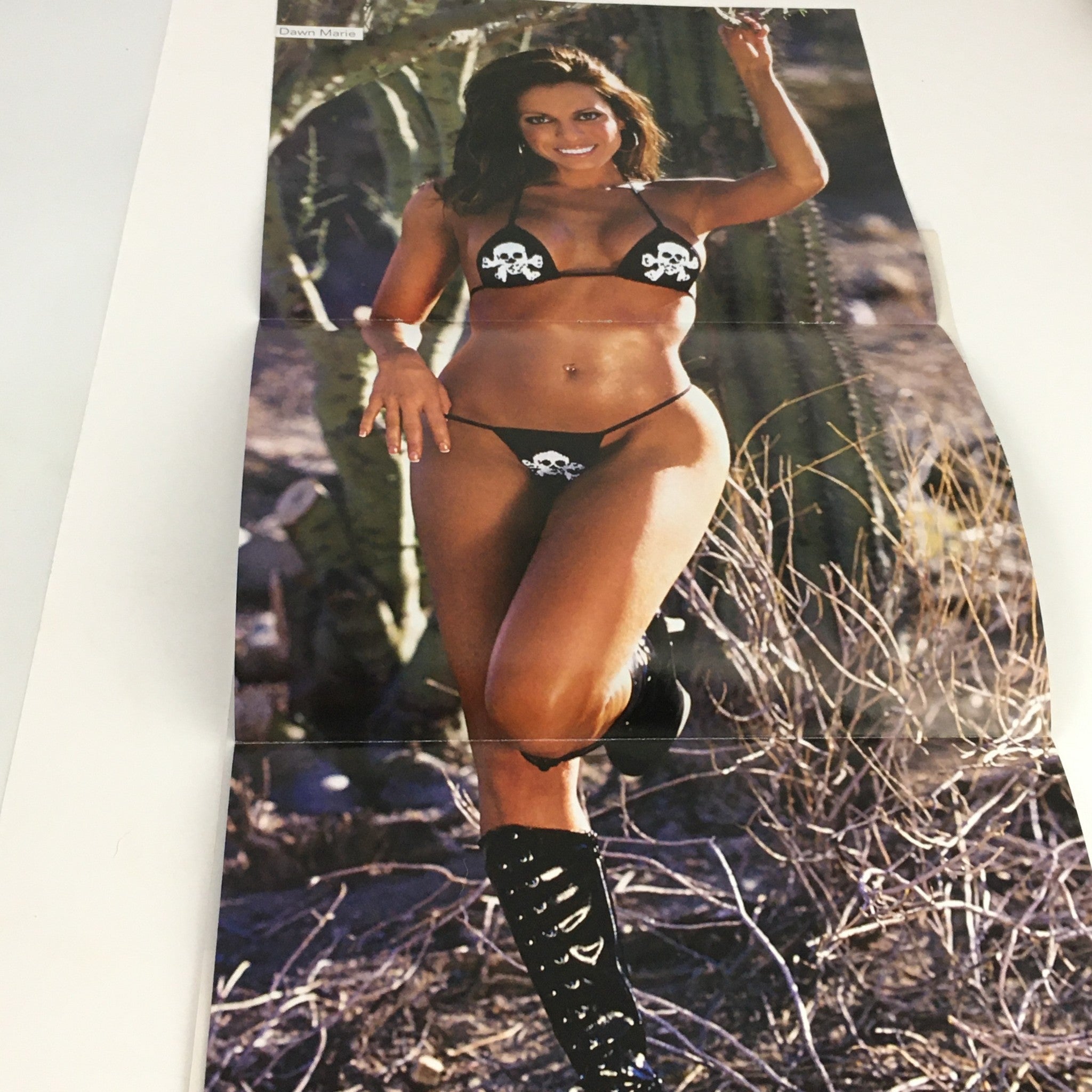 Poster included in WWE Raw Magazine August 2003 displaying Dawn Marie in a striking bikini, emphasizing her appeal and adding collectible value to the magazine.