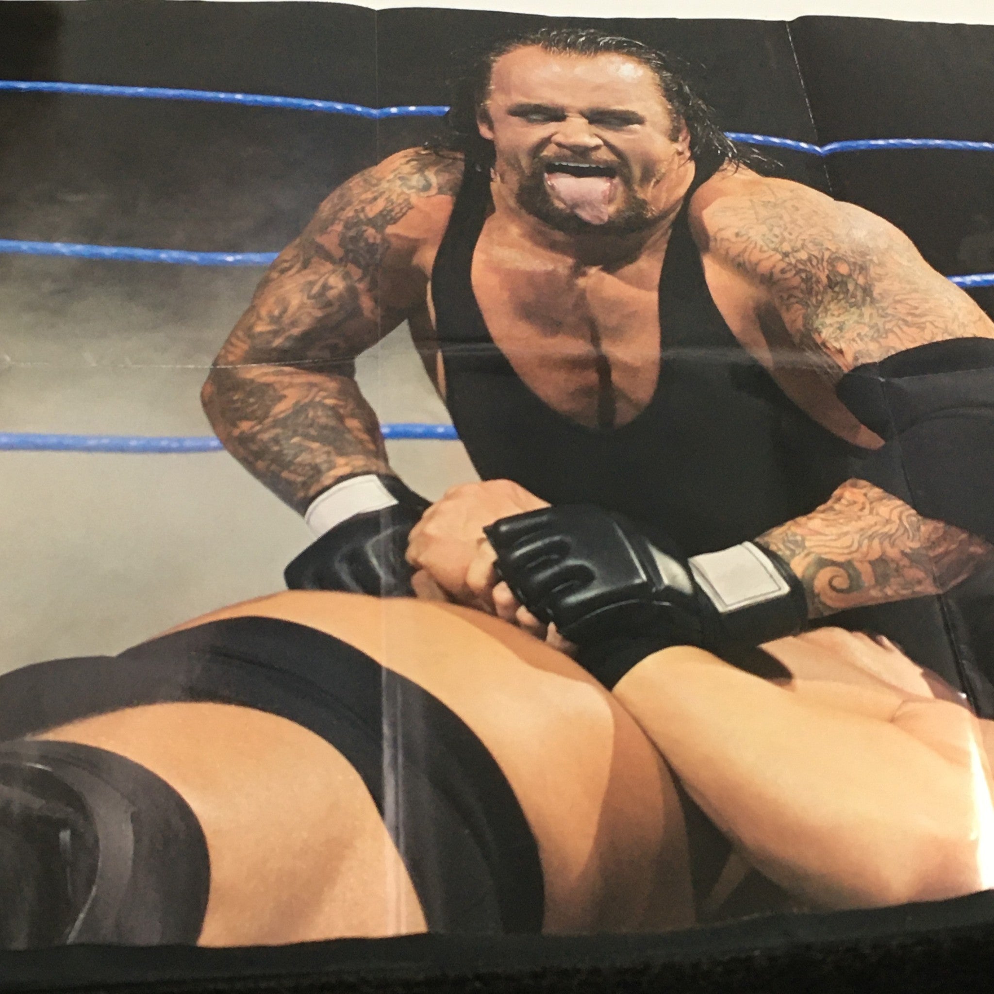 WWE Raw Magazine March 2005 featuring The Undertaker in a dynamic wrestling action scene, showcasing his powerful presence and signature tattooed physique.