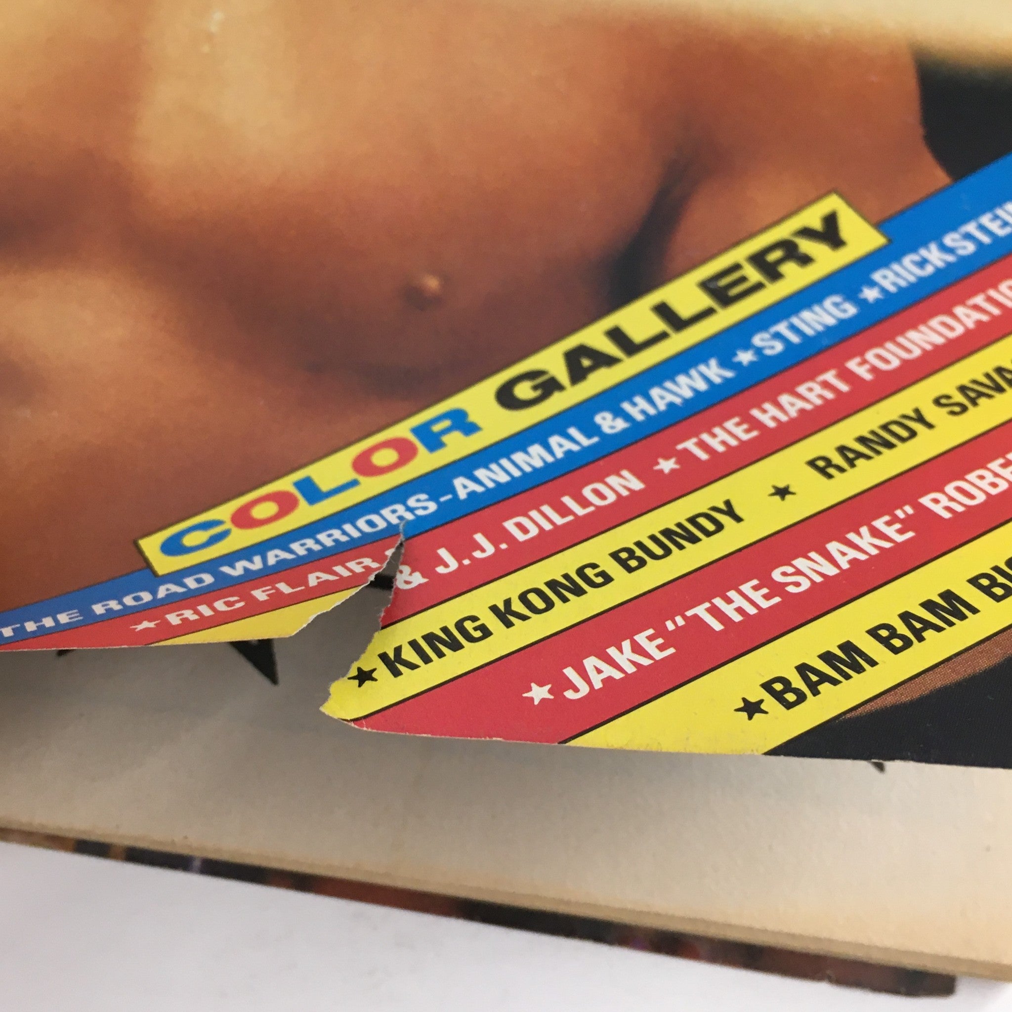 Detail shot of Wrestling World Magazine April 1988 displaying the 'Color Gallery' section with names of famous wrestlers including King Kong Bundy and Jake 'the Snake' Roberts.