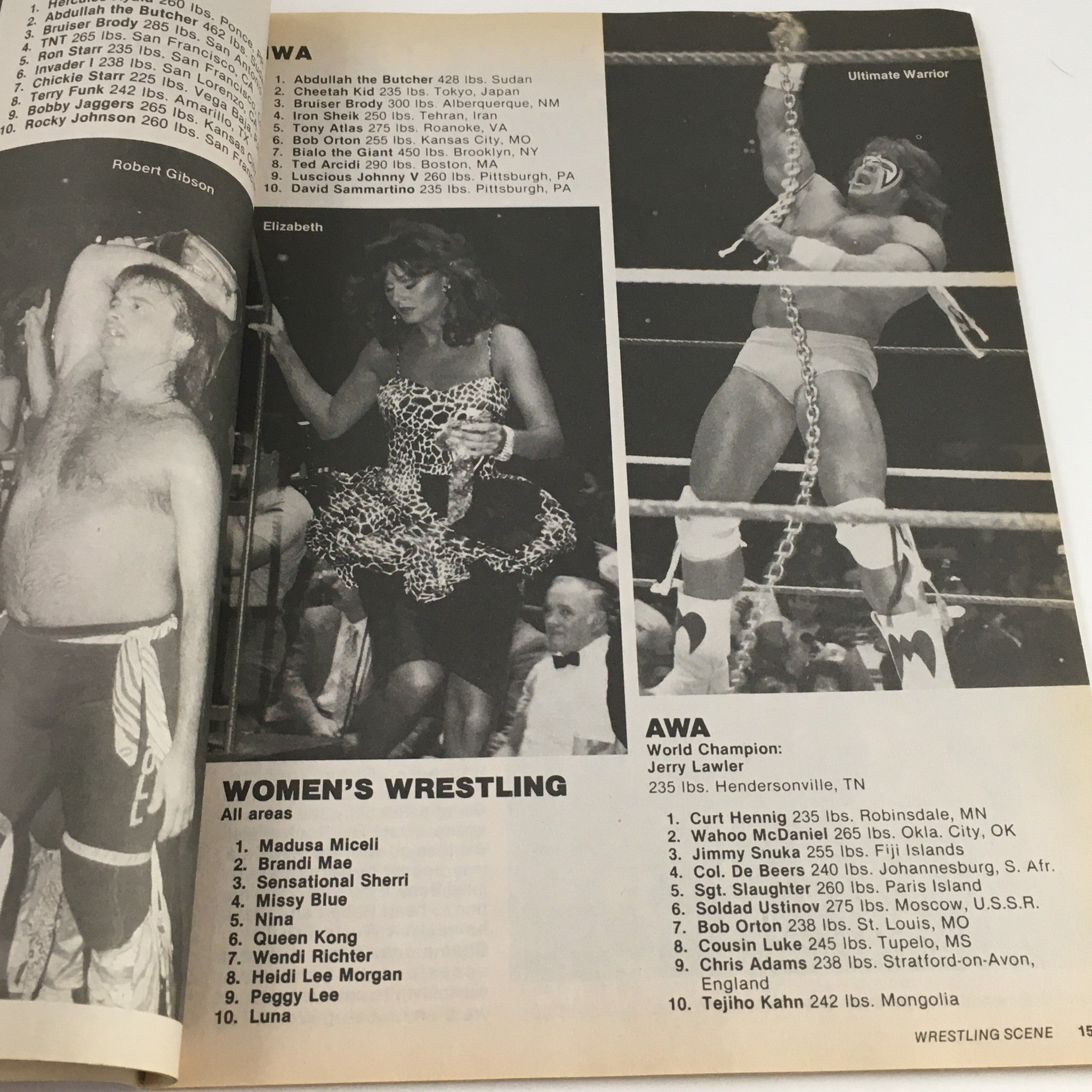 Wrestling Scene Magazine November 1988 Mike Rotunda vs Dusty Rhodes, No Label