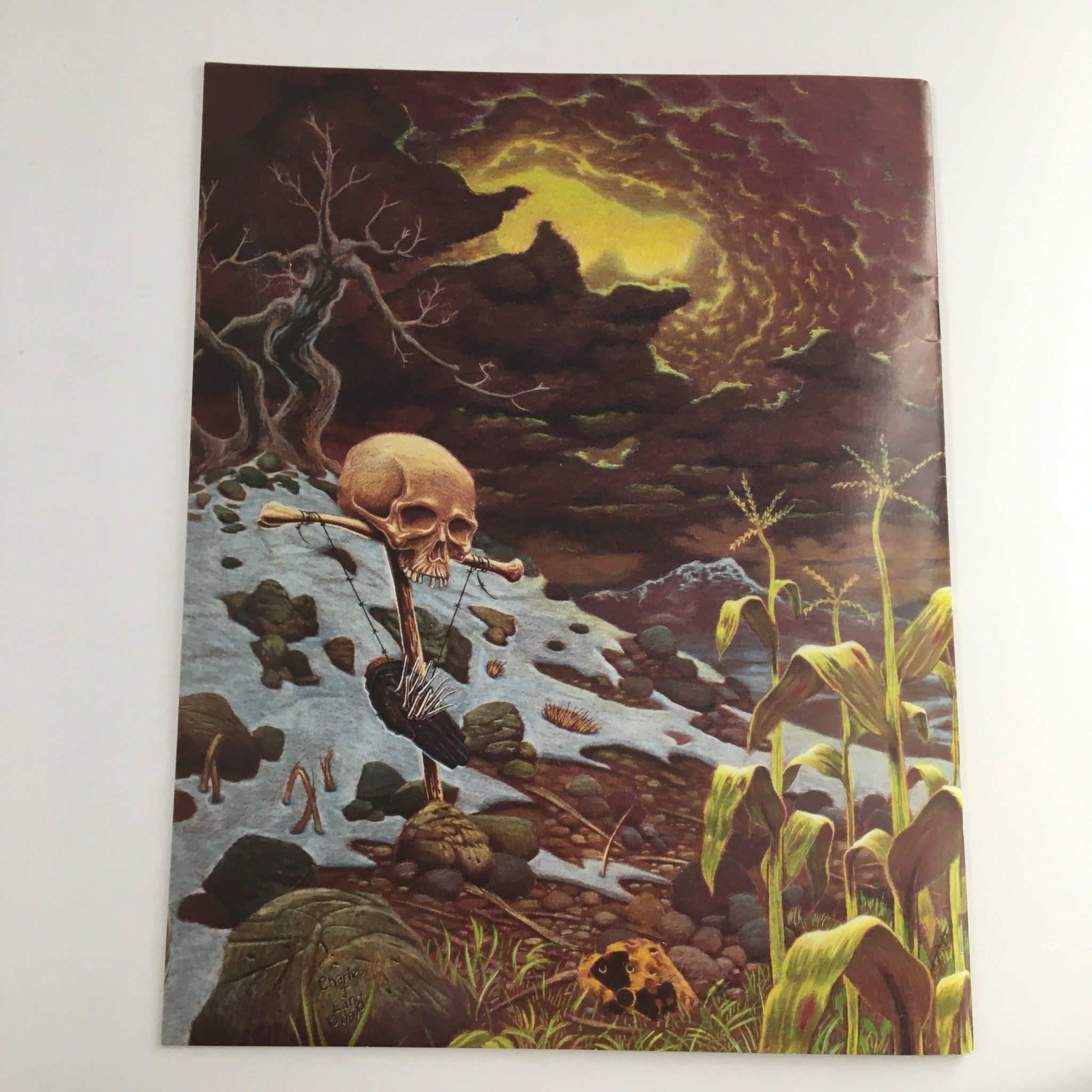 Cover art of BaltiCon The 24th World Sci-Fi Con 1990 featuring a surreal landscape with a skull on a cross, dark clouds, and hints of corn and rocks, reflecting a unique blend of fantasy and science fiction themes.