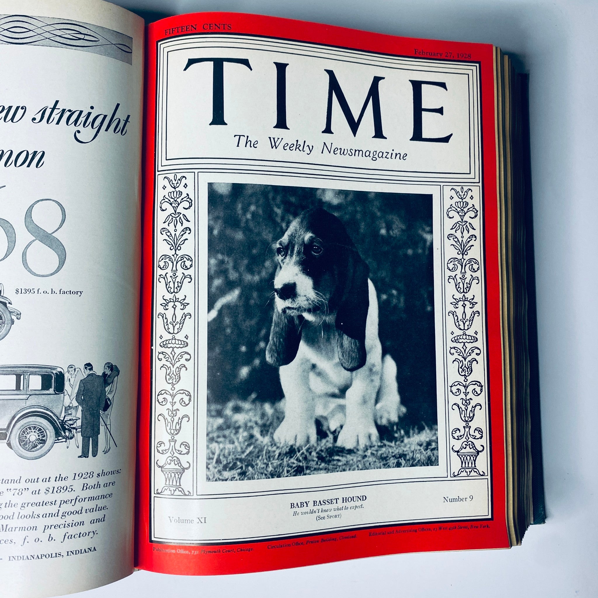 Cover of Time Magazine from February 1928 featuring a Baby Basset Hound, part of the Time Magazine Bound Weekly January to June 1928 collection.