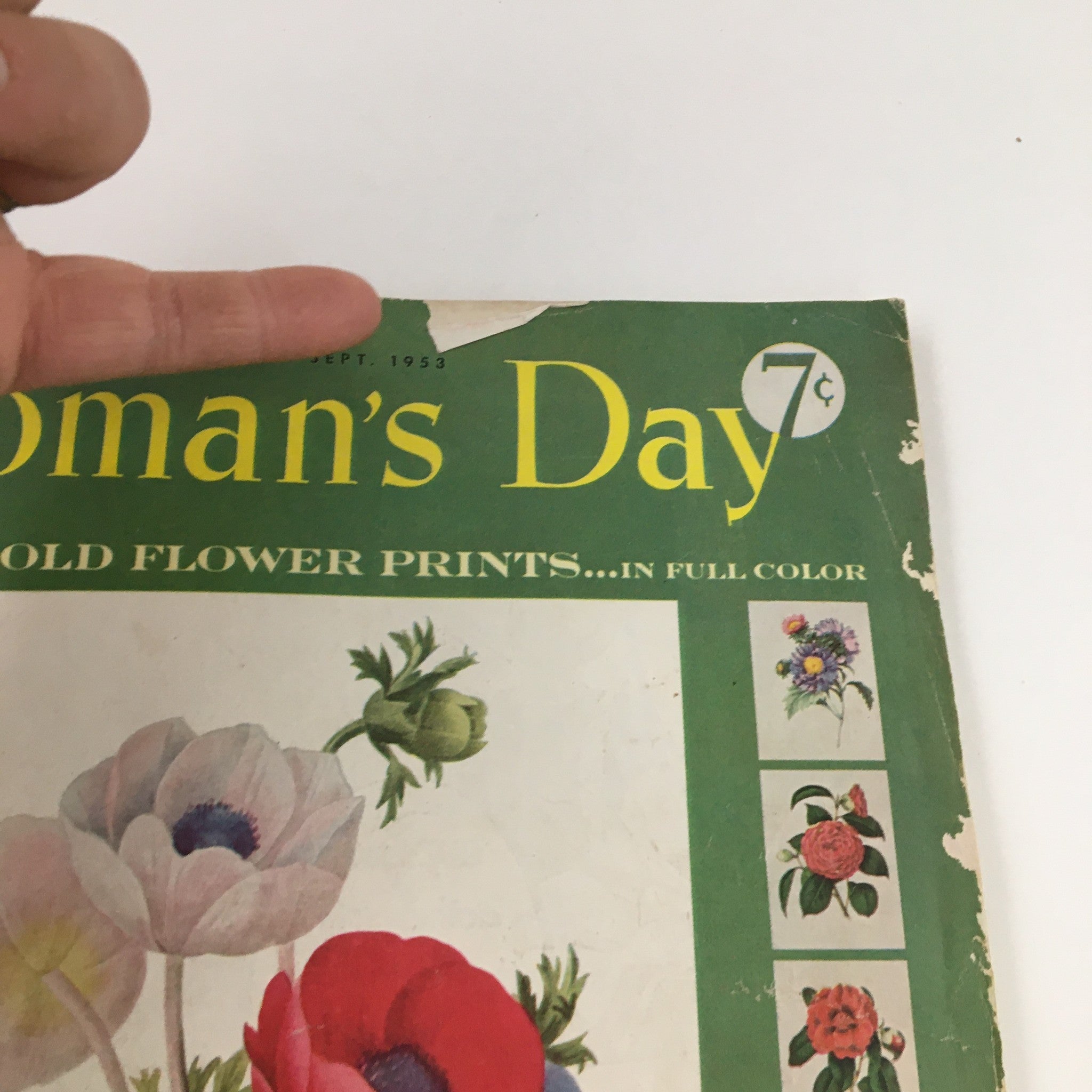 Woman's Day Magazine September 1953 8 Rare Old Flower Prints in Color, No Label