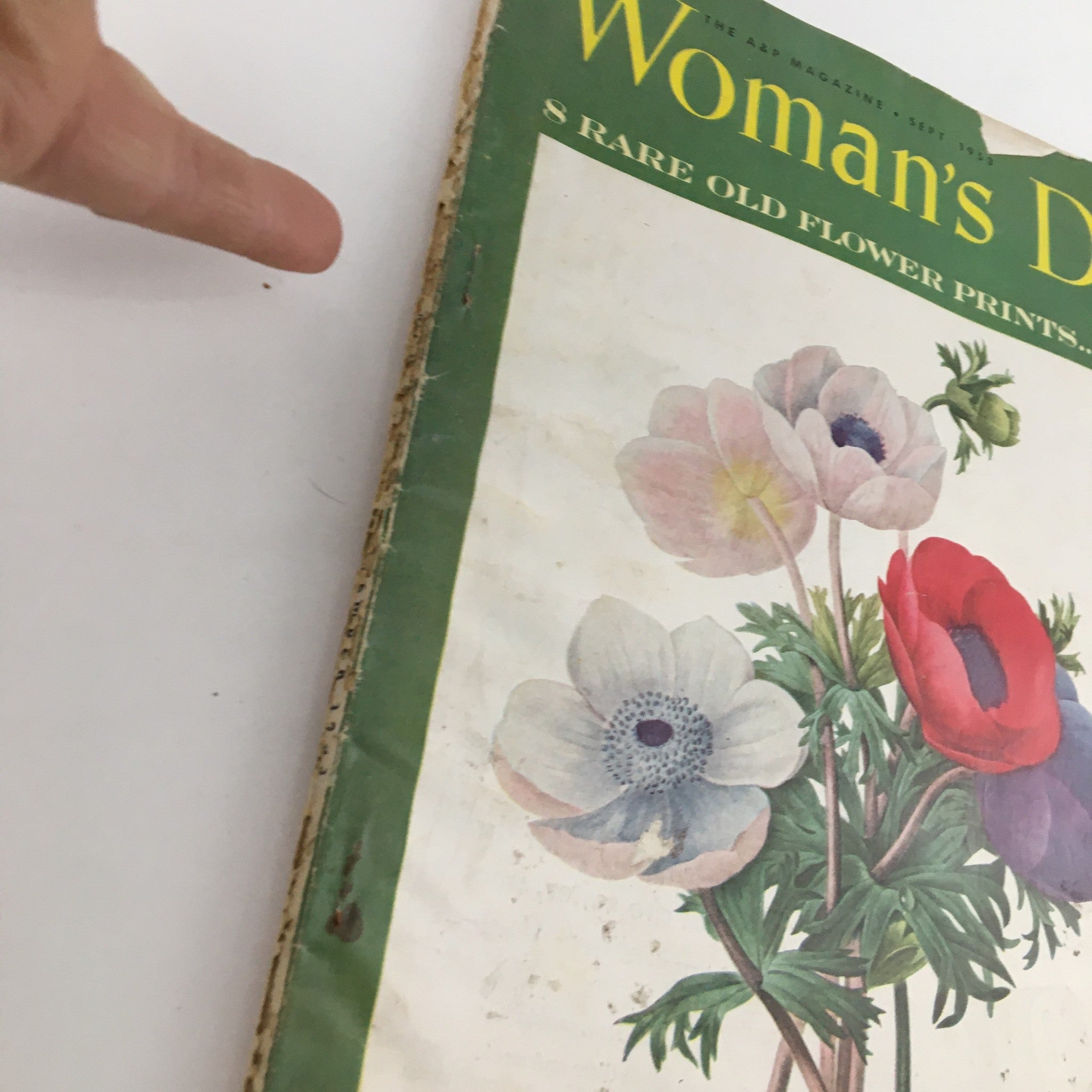 Woman's Day Magazine September 1953 8 Rare Old Flower Prints in Color, No Label