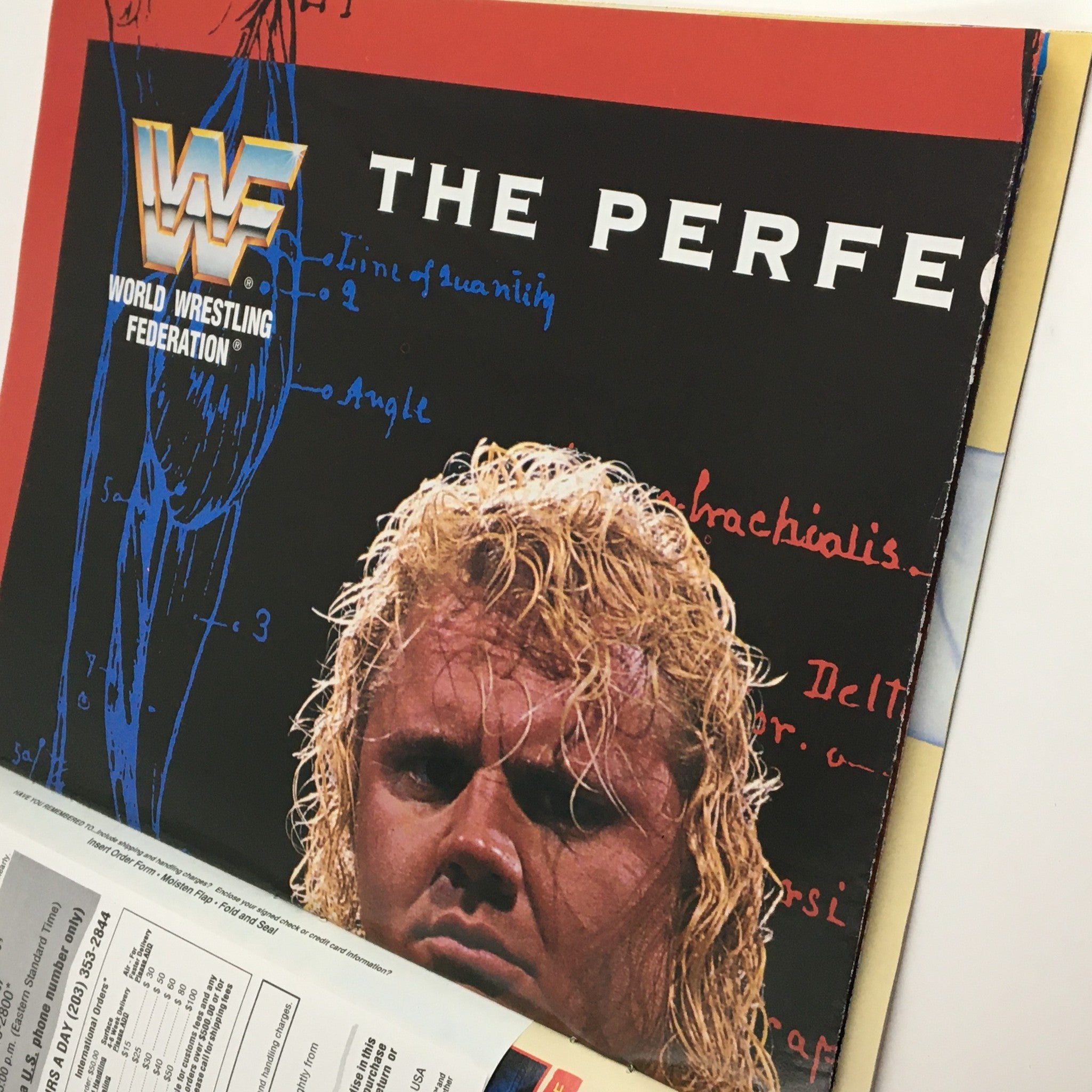 WWF Wrestling Spotlight Magazine 1993 Vol 19 Curt Hennig, w Poster No Label