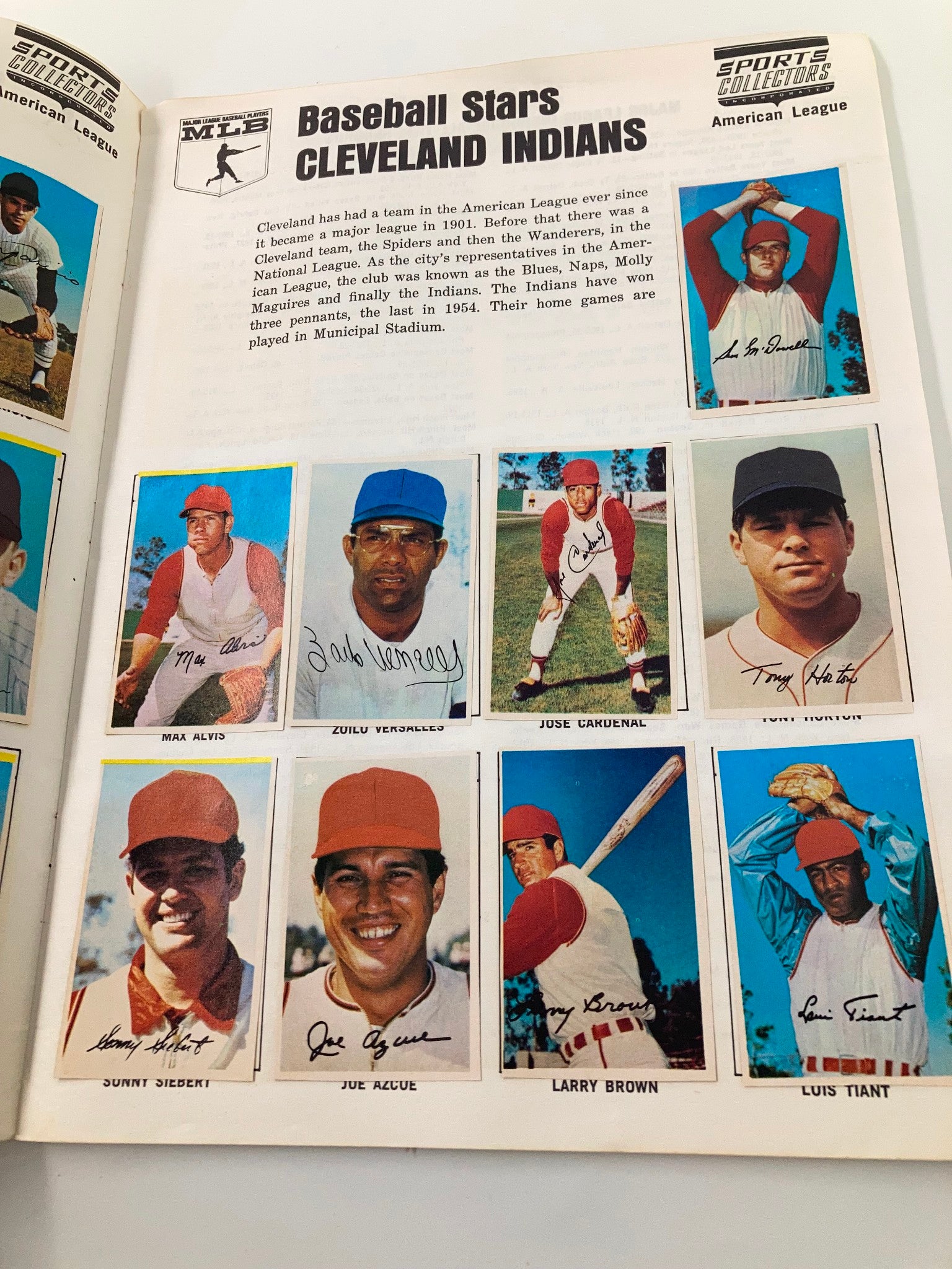 1969 Baseball Stars American League Official Sports Collectors Photostamp Album